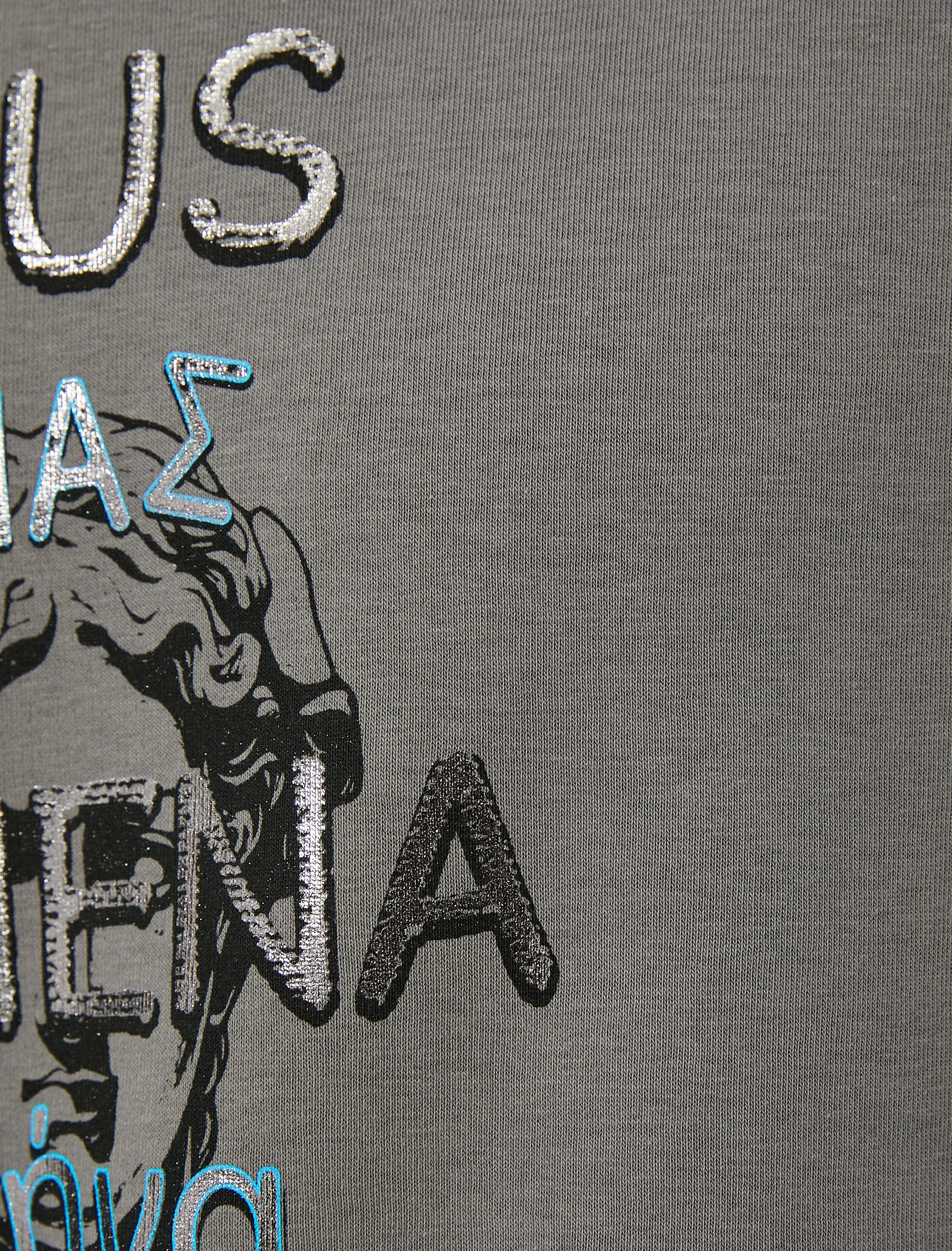   Kapşonlu Sweatshirt Mitoloji Temalı Baskılı Ribanalı Uzun Kollu Şardonlu