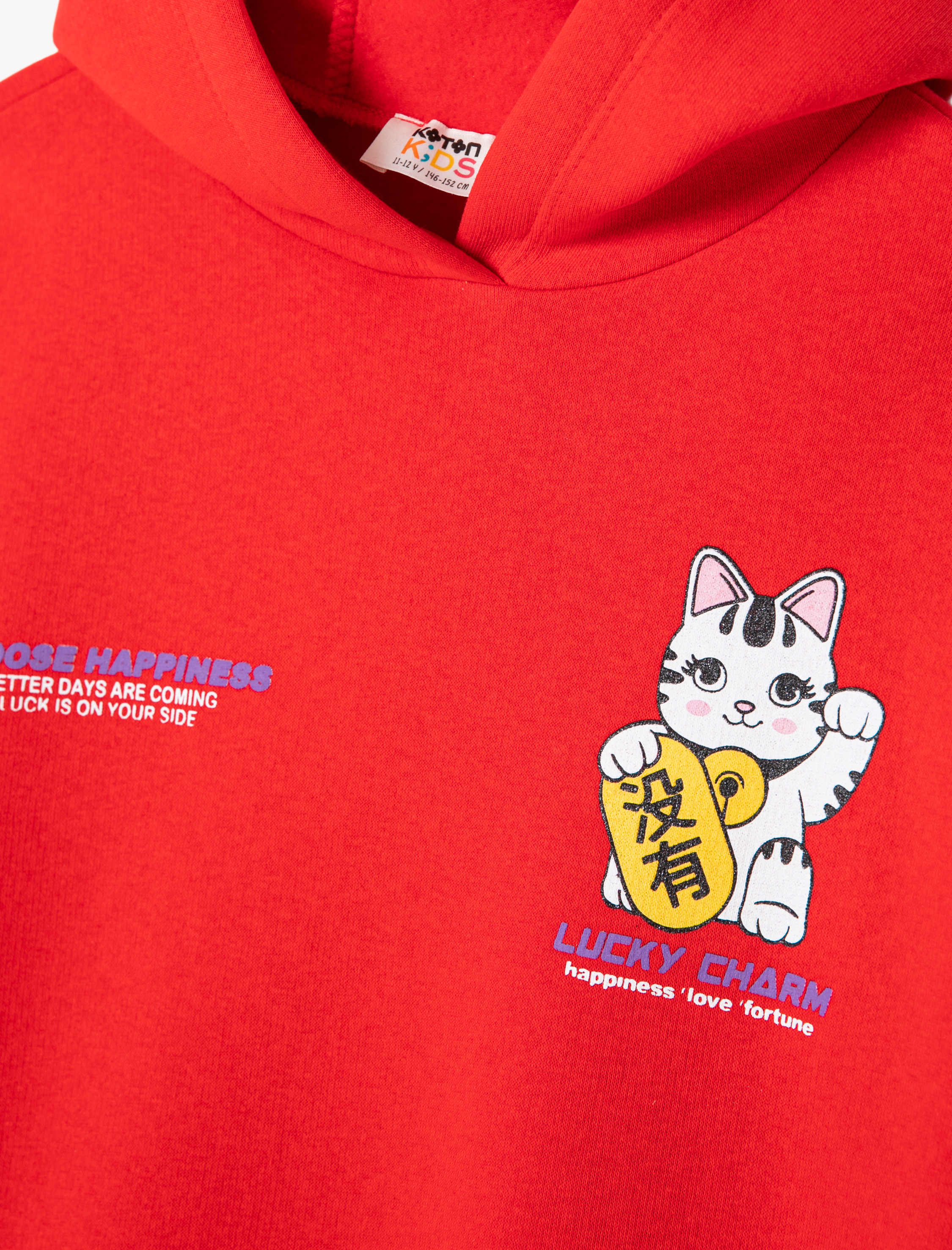  Kız Çocuk Sweatshirt Kapşonlu Baskı Detaylı Şardonlu