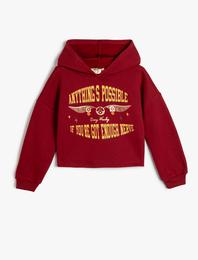 Harry Potter Kapşonlu Sweat Lisanslı Uzun Kollu Şardonlu