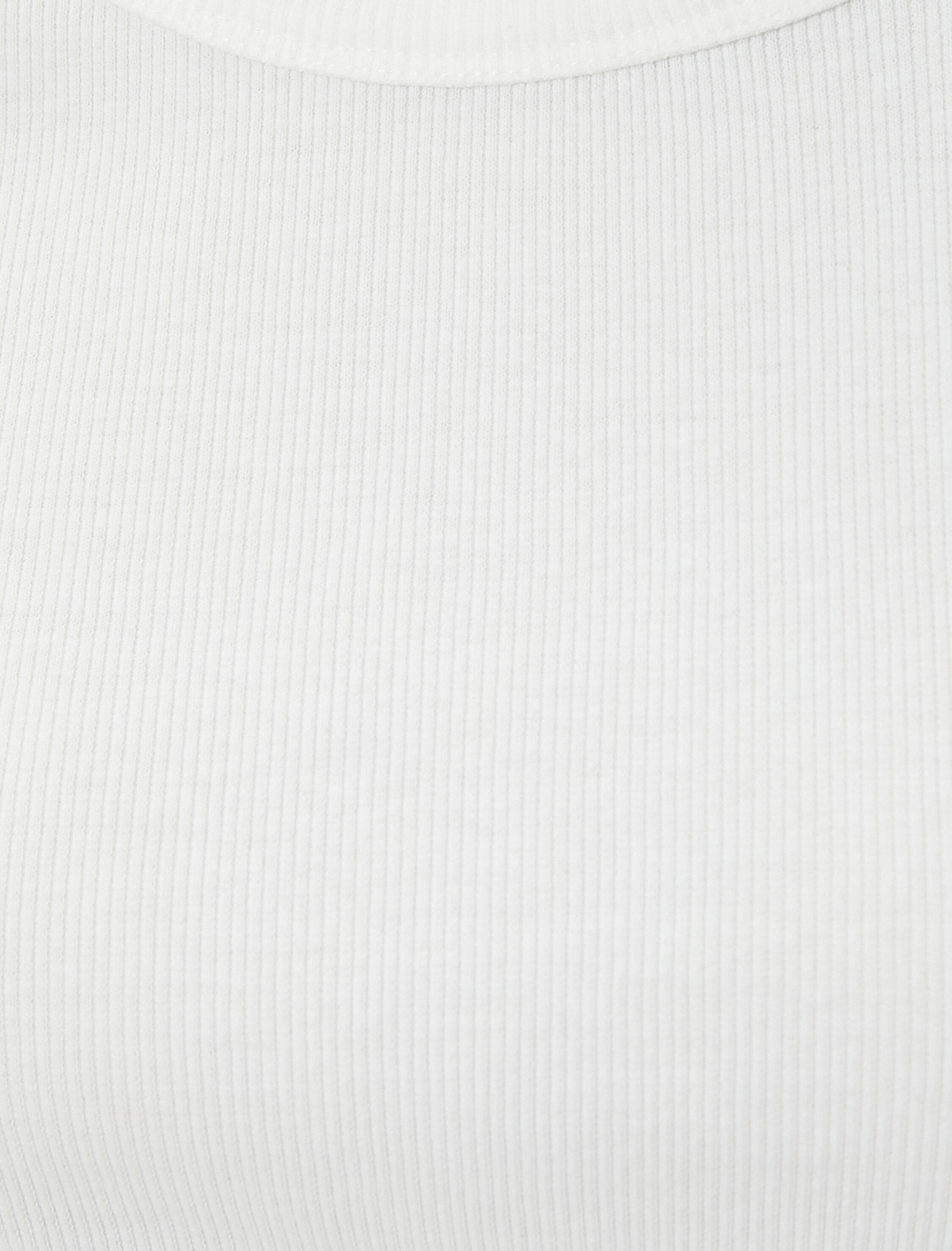   Basic Tişört Slim Fit Ribanalı Kısa Kollu Bisiklet Yaka Pamuklu