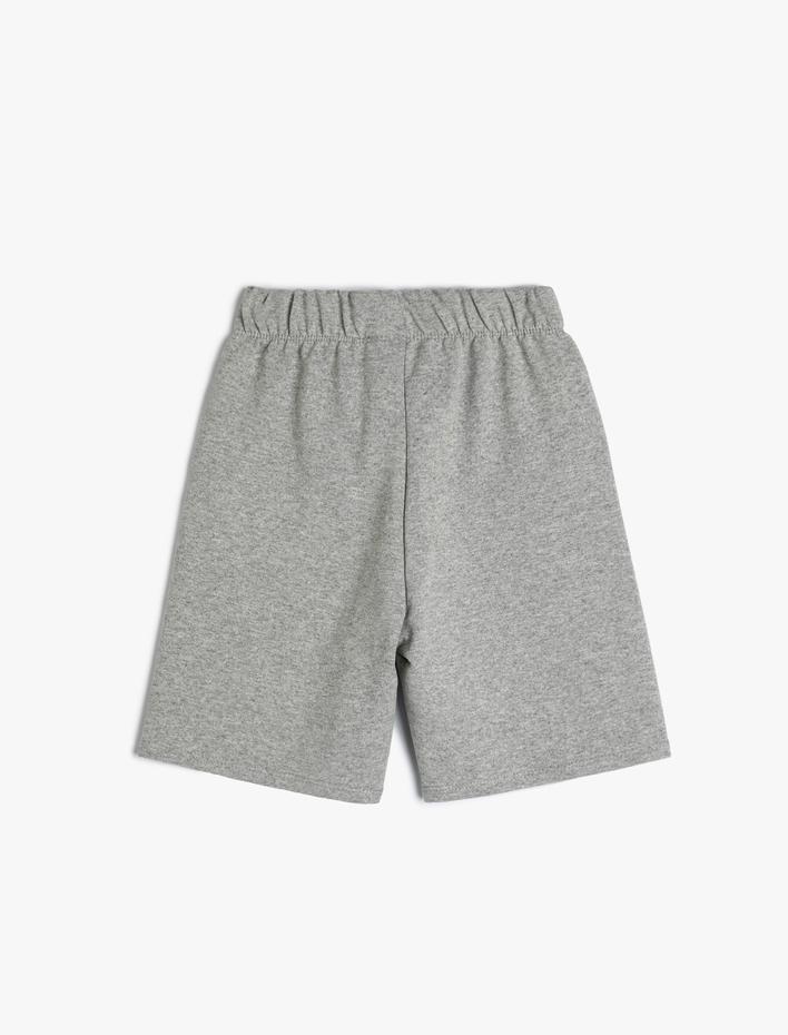 Erkek Çocuk Dinozorlu Şort Baskı Detaylı Beli Bağlamalı