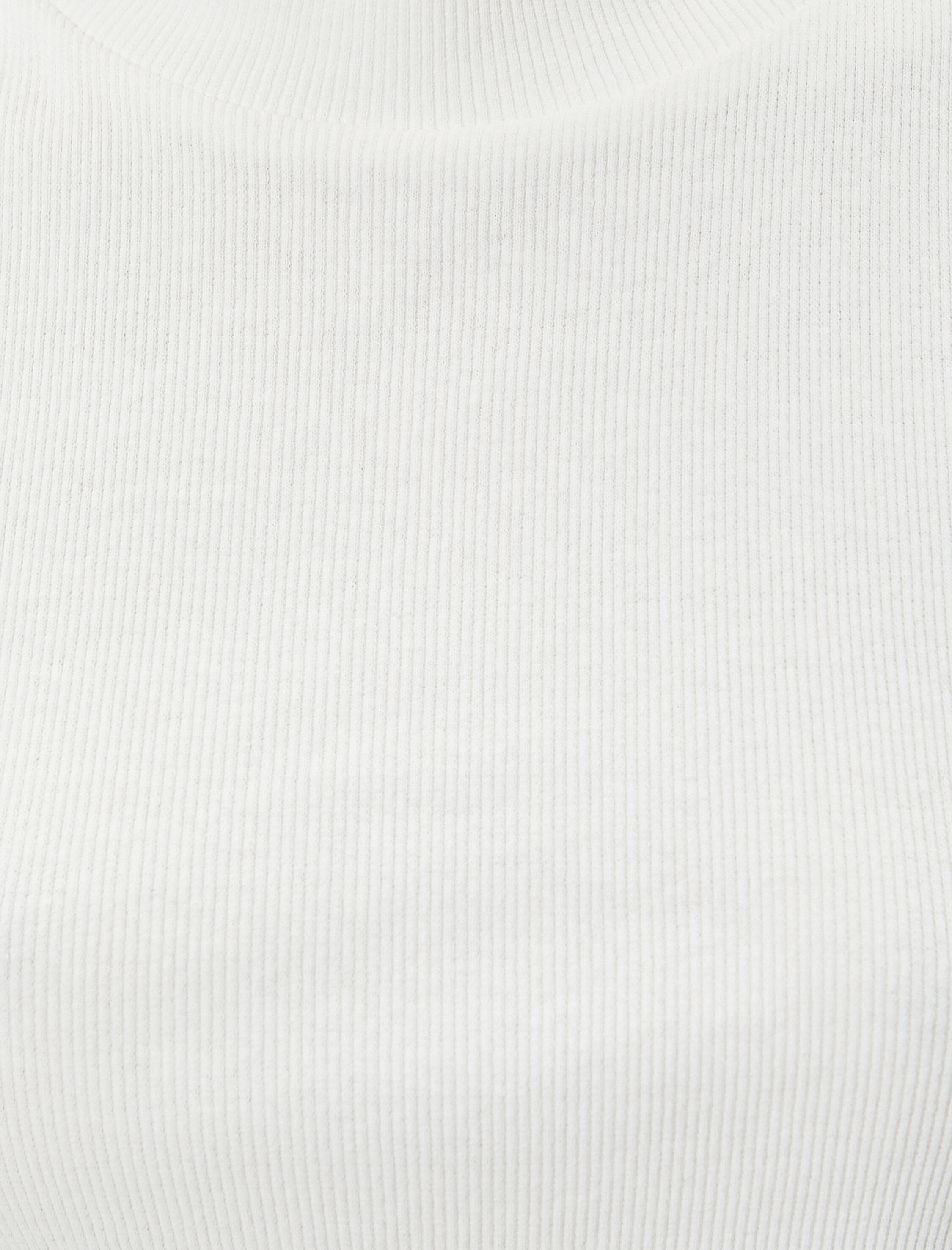   Dik Yaka Atlet Ribanalı Pamuklu Slim Fit