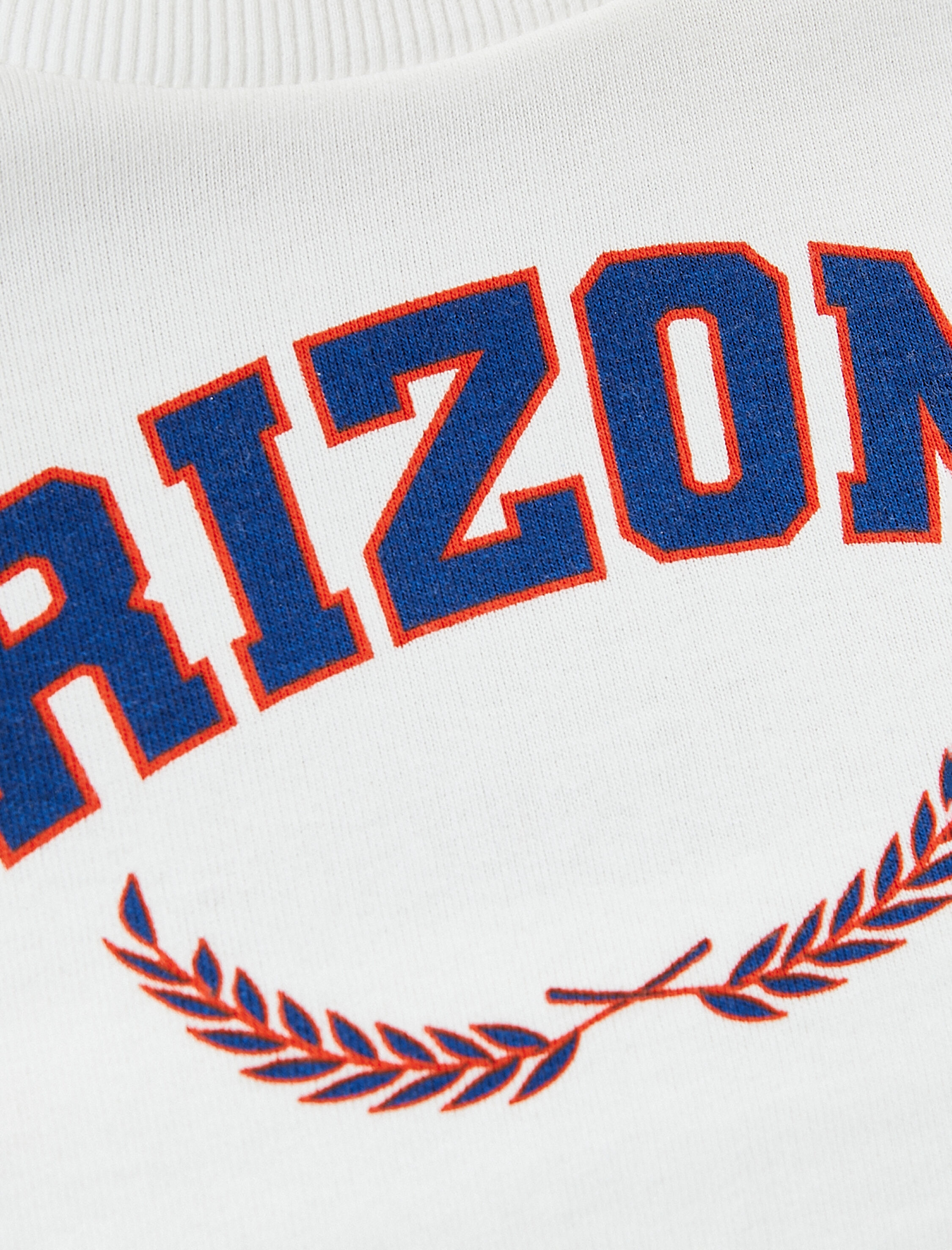   Crop Sweatshirt Baskılı Bisiklet Yaka Uzun Kollu