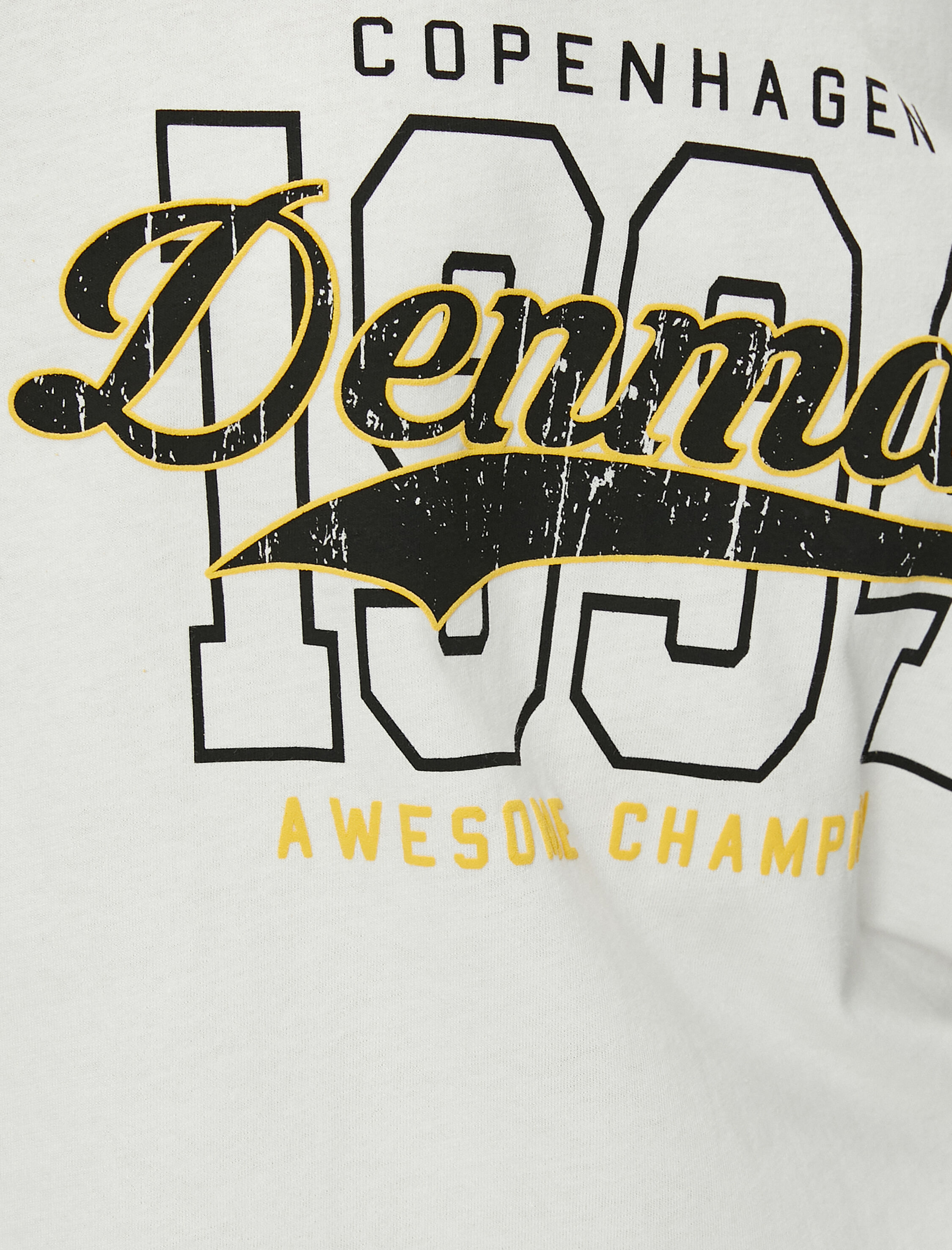   Baskılı Tişört Kısa Kollu Bisiklet Yaka Pamuklu