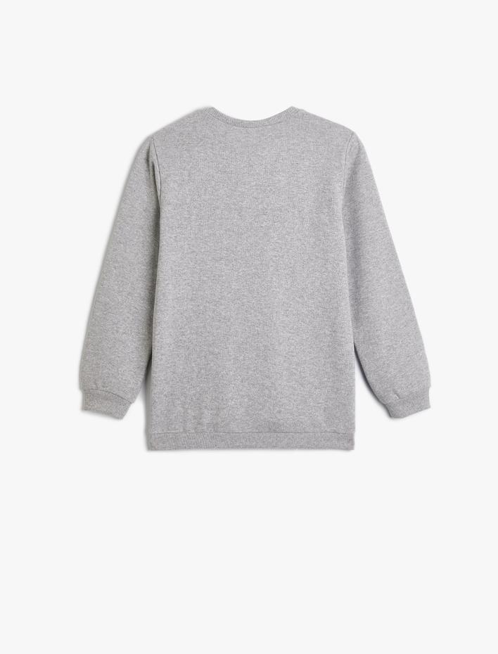 Erkek Çocuk Dinozorlu Sweatshirt Bisiklet Yaka Uzun Kollu Şardonlu Pamuklu