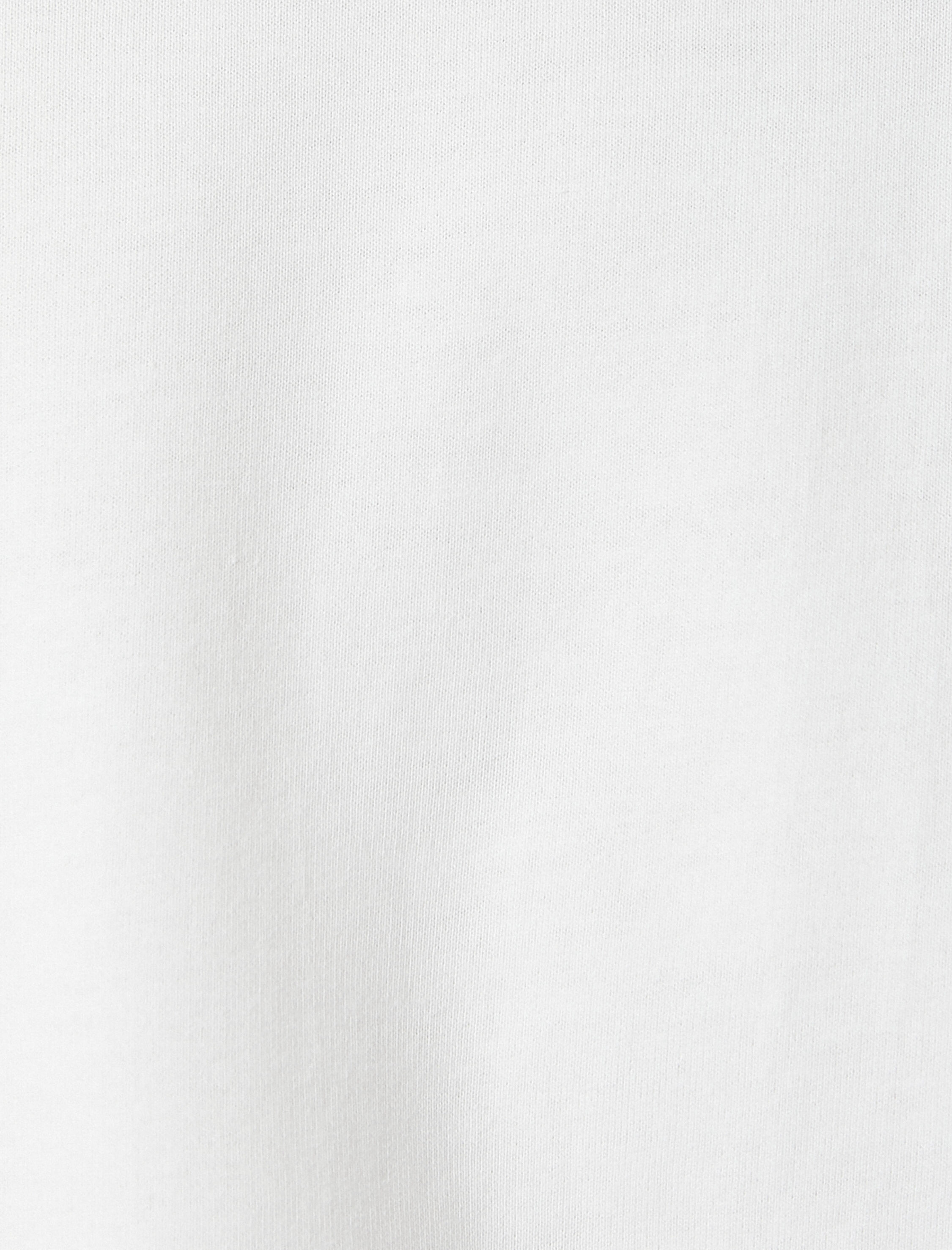   Bisiklet Yaka Tişört Kumaş Detaylı Kısa Kollu Pamuklu