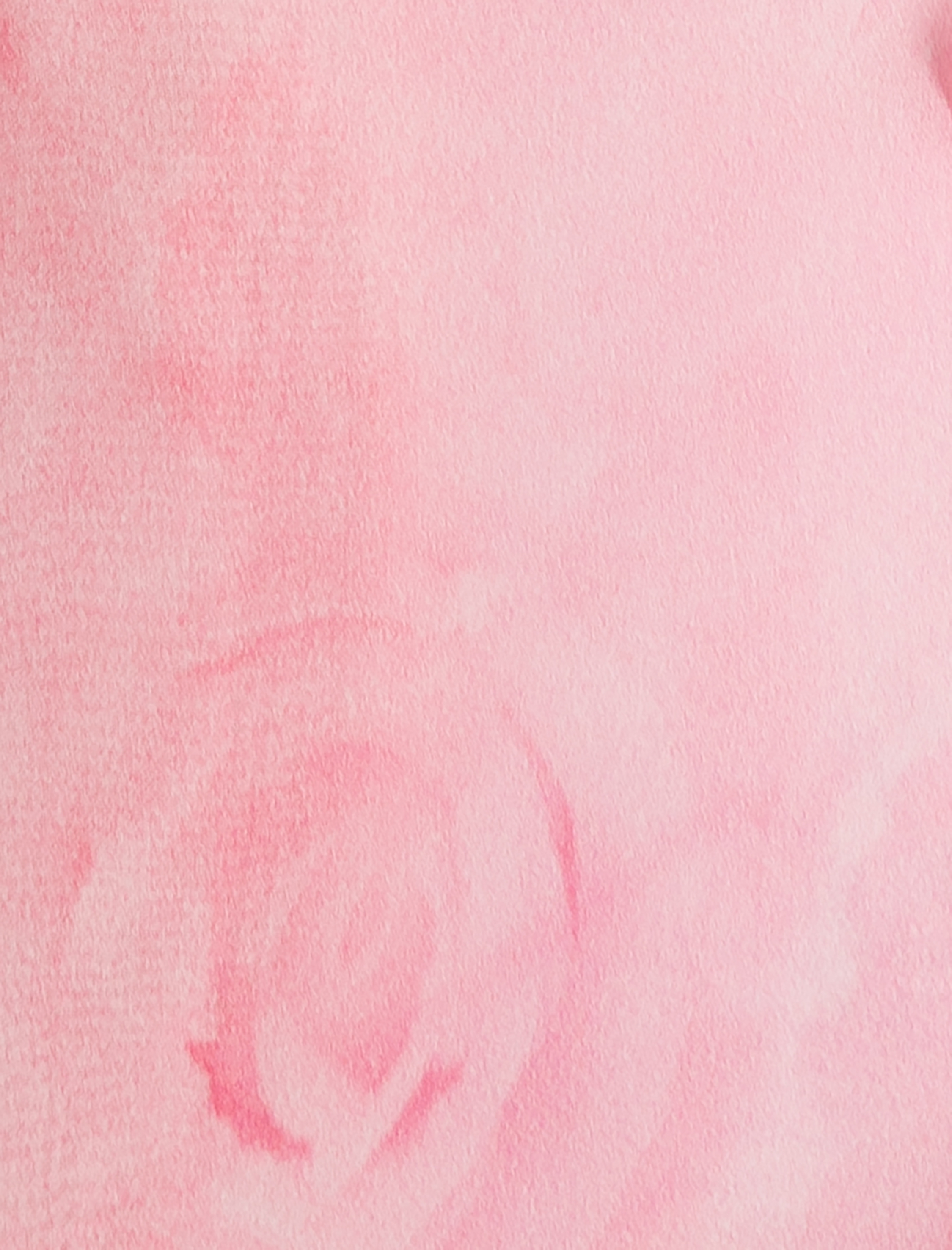   Çiçekli Gömlek Fırfırlı Uzun Kollu