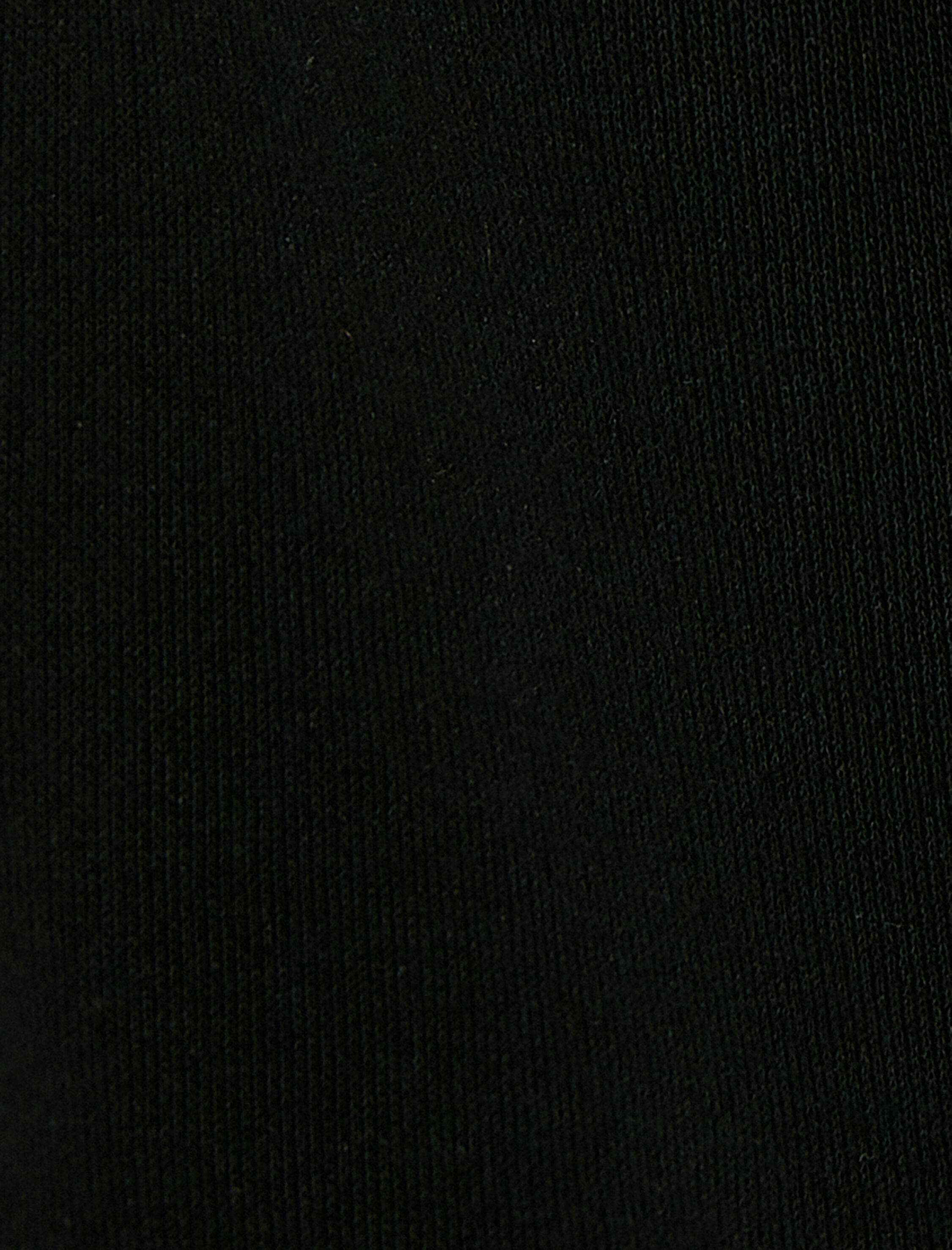   Şardonlu Fermuarlı Sweatshirt Crop Dik Yaka Çizgili Baskılı