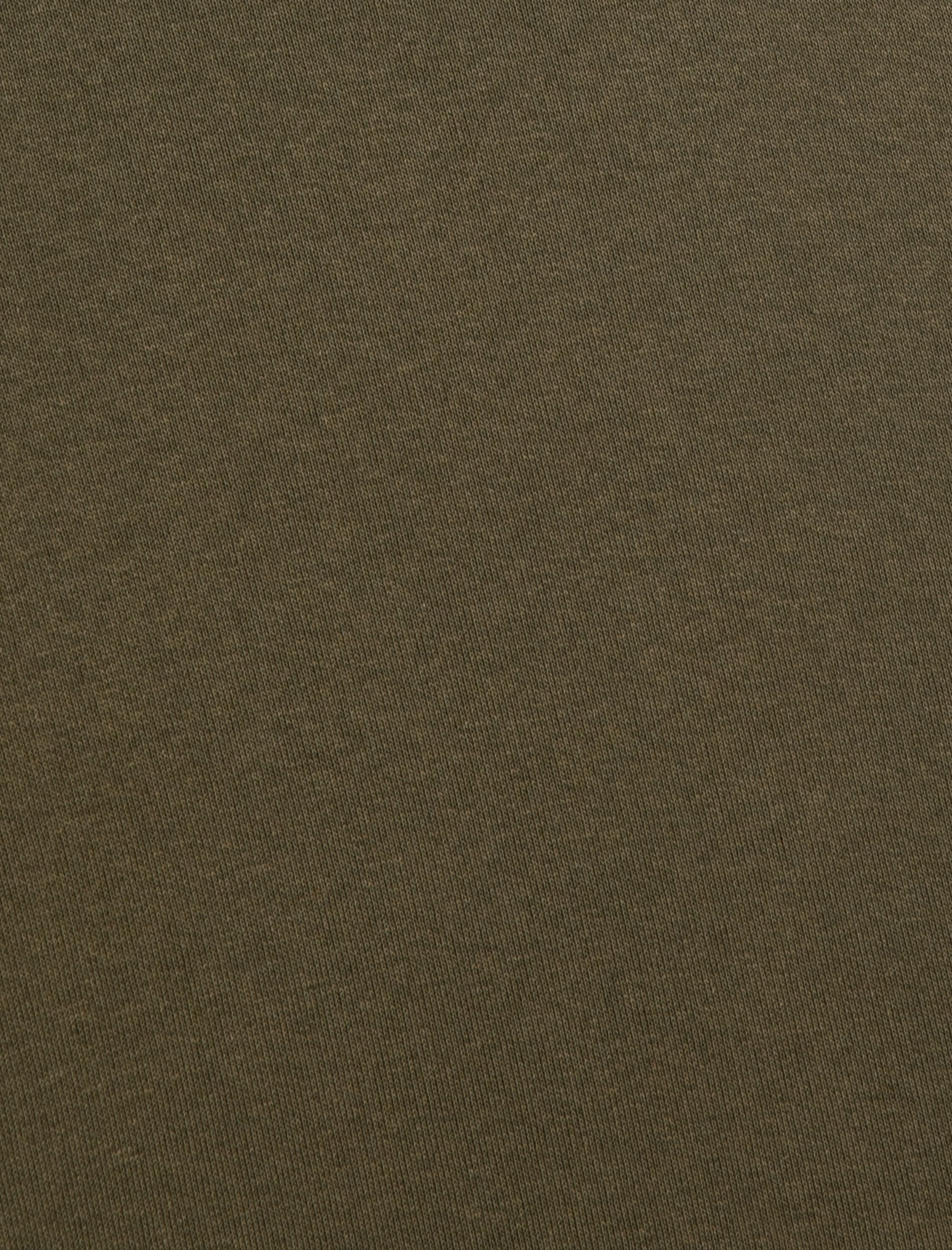   Yarım Fermuarlı Sweatshirt Dik Yaka Slogan Baskılı Şardonlu