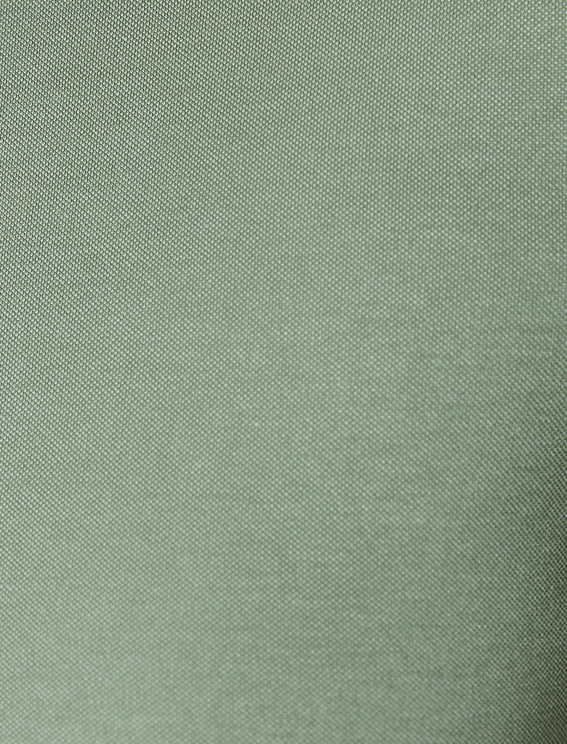   Crop Tişört Kısa Kollu Bisiklet Yaka Modal Karışımlı