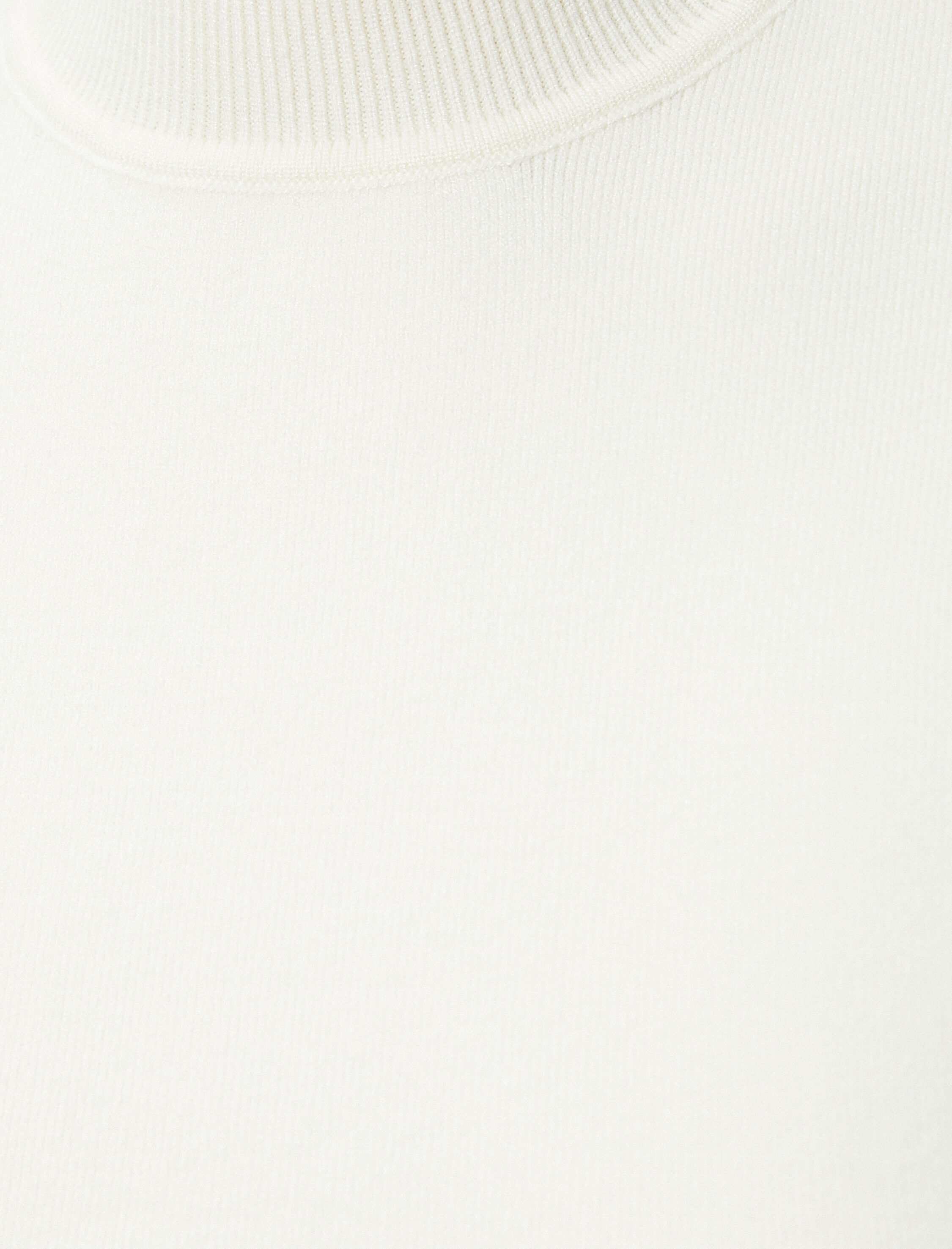   Balıkçı Yaka Triko Üst Kolsuz