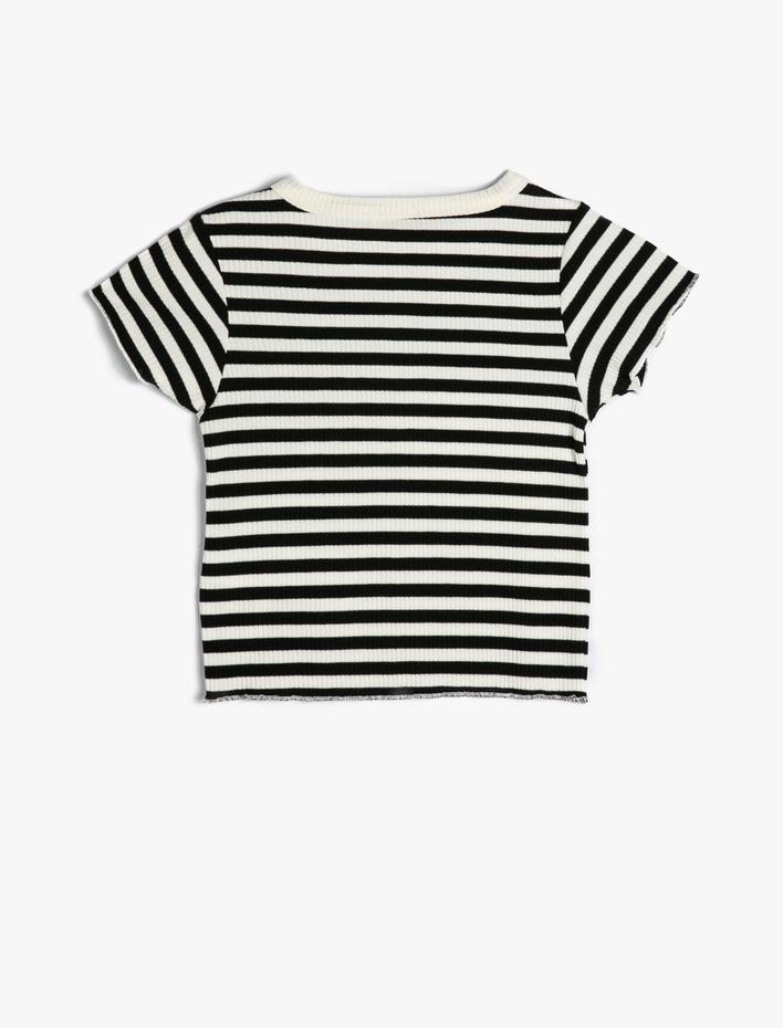 Kız Çocuk Tişört Kısa Kollu Yuvarlak Yaka Ribanalı Pamuklu