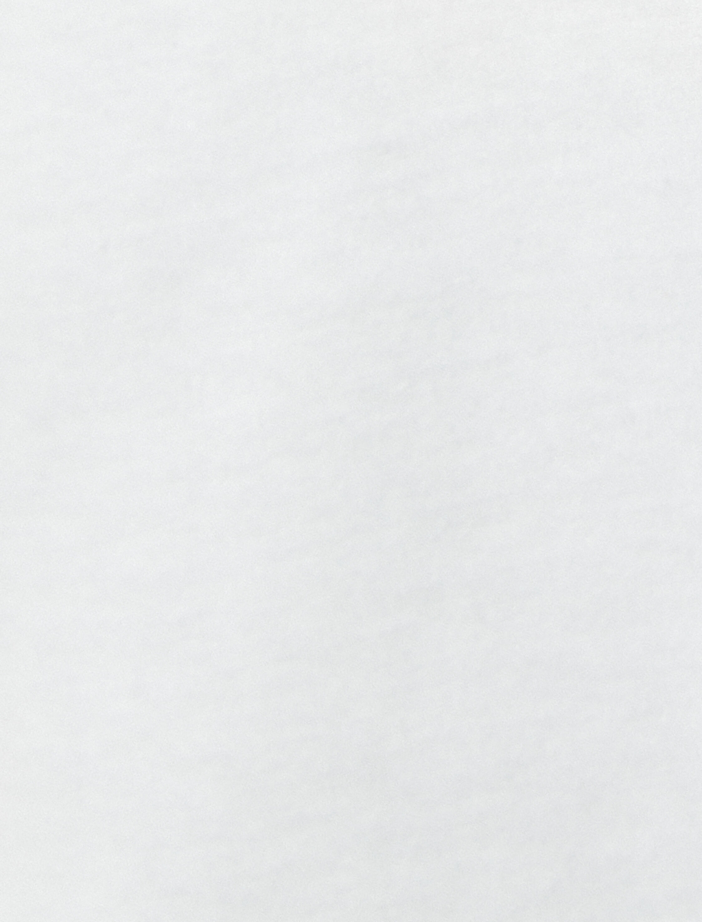   Baskılı Tişört Bisiklet Yaka Kısa Kollu Pamuklu