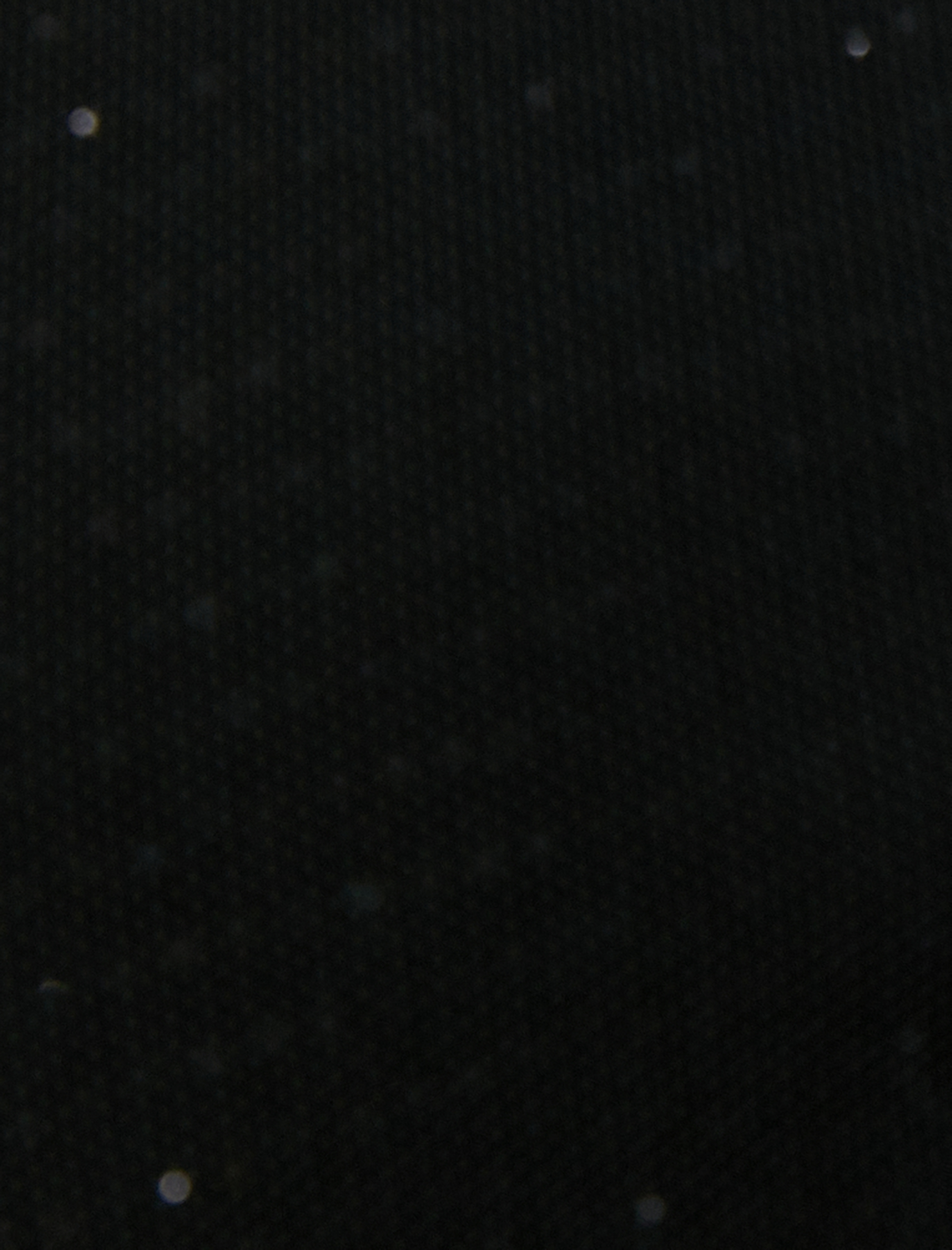   Transparan Bluz Çiçek Aplike Detaylı Uzun Kollu