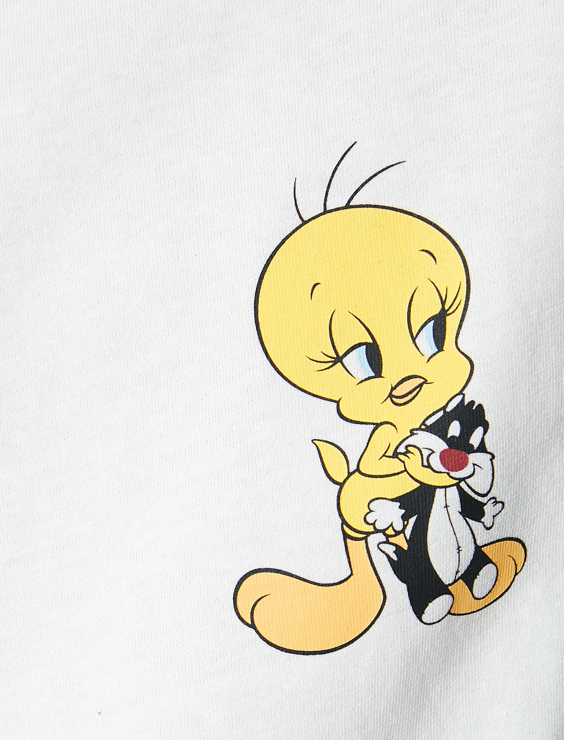   Tweety ve Sylvester Tişört Lisanslı Arkası Baskılı Bisiklet Yaka Pamuklu