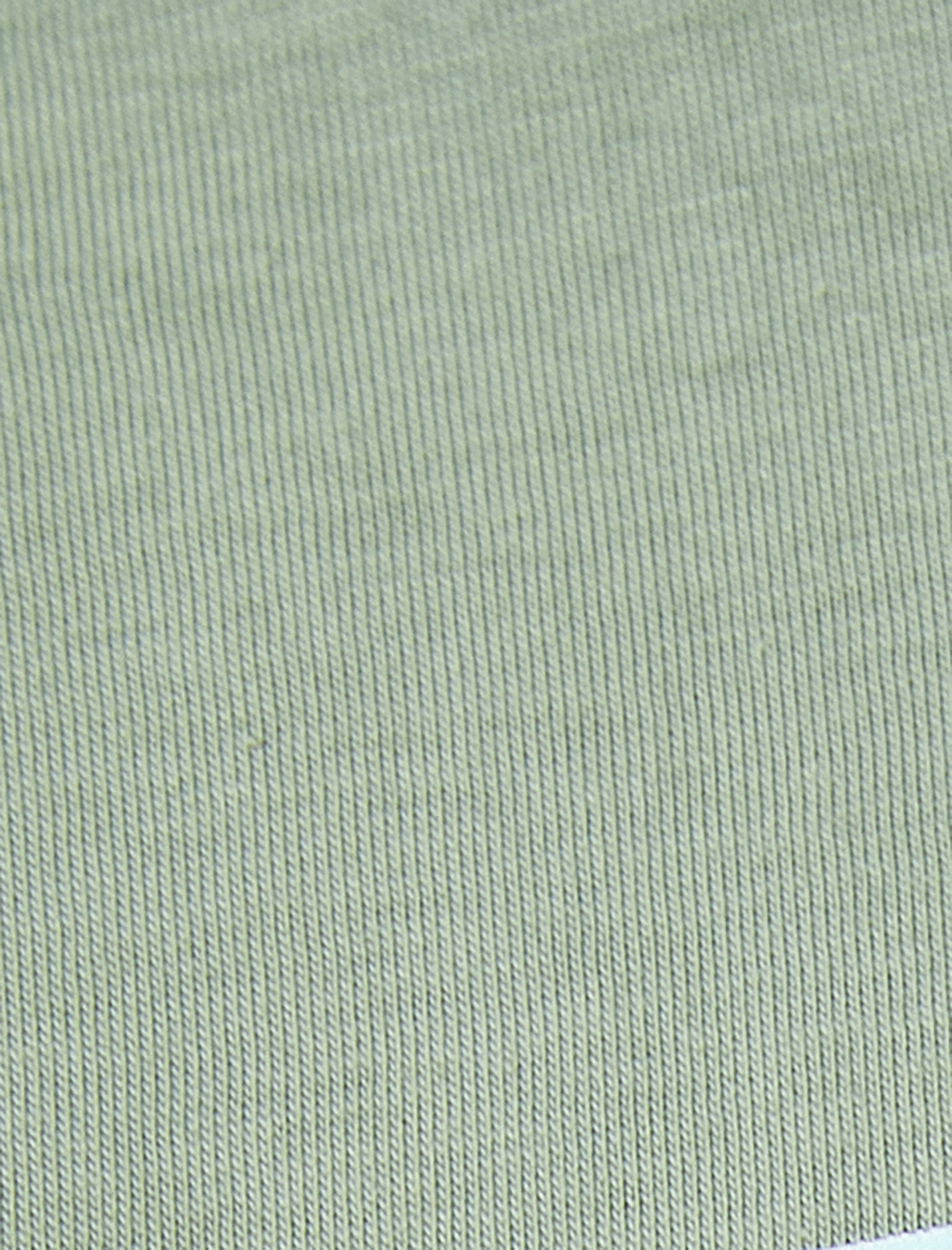   Rahat Kalıp Crop Tişört Kısa Kollu Bisiklet Yaka Pamuklu