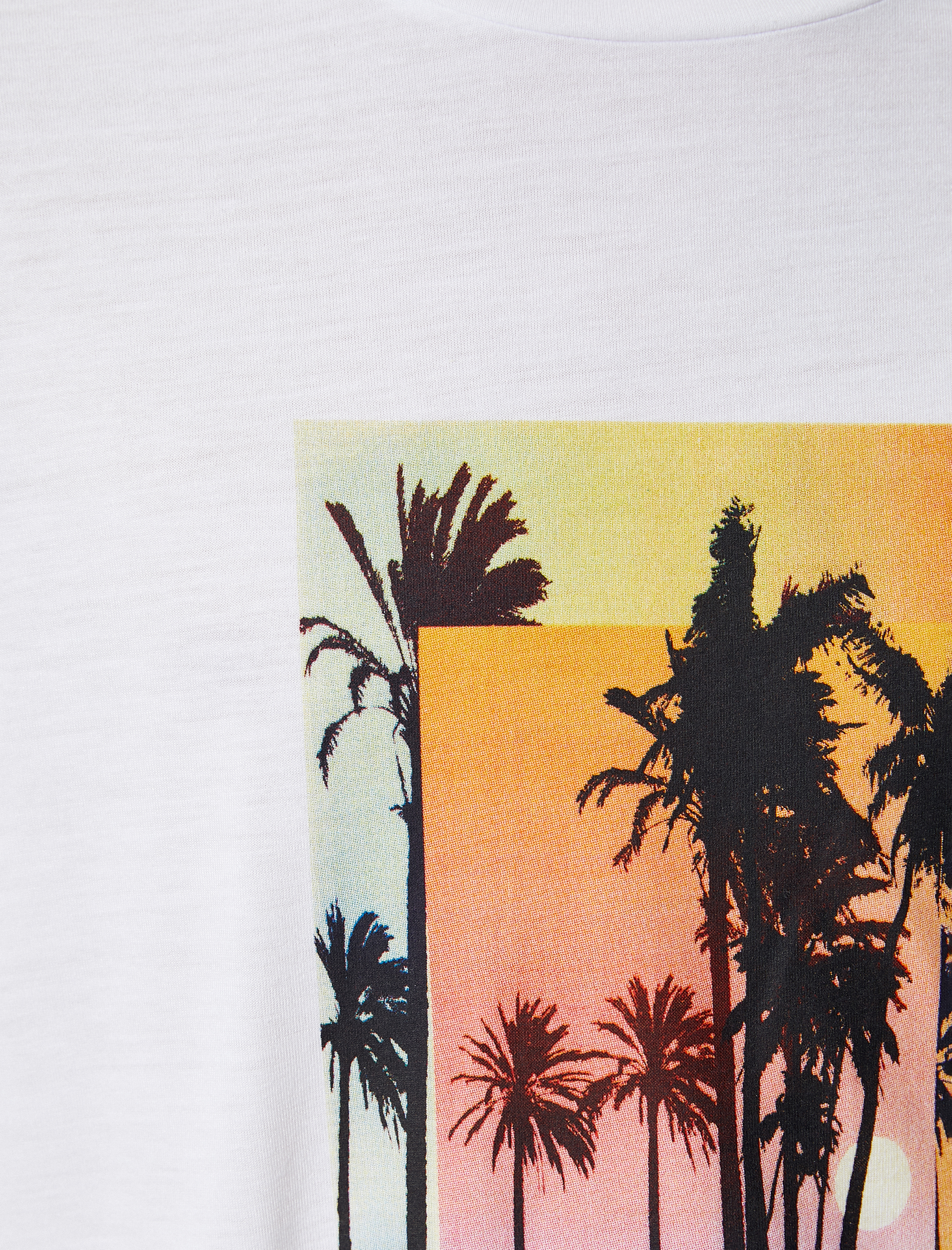   Baskılı Tişört Bisiklet Yaka Kısa Kollu Pamuklu