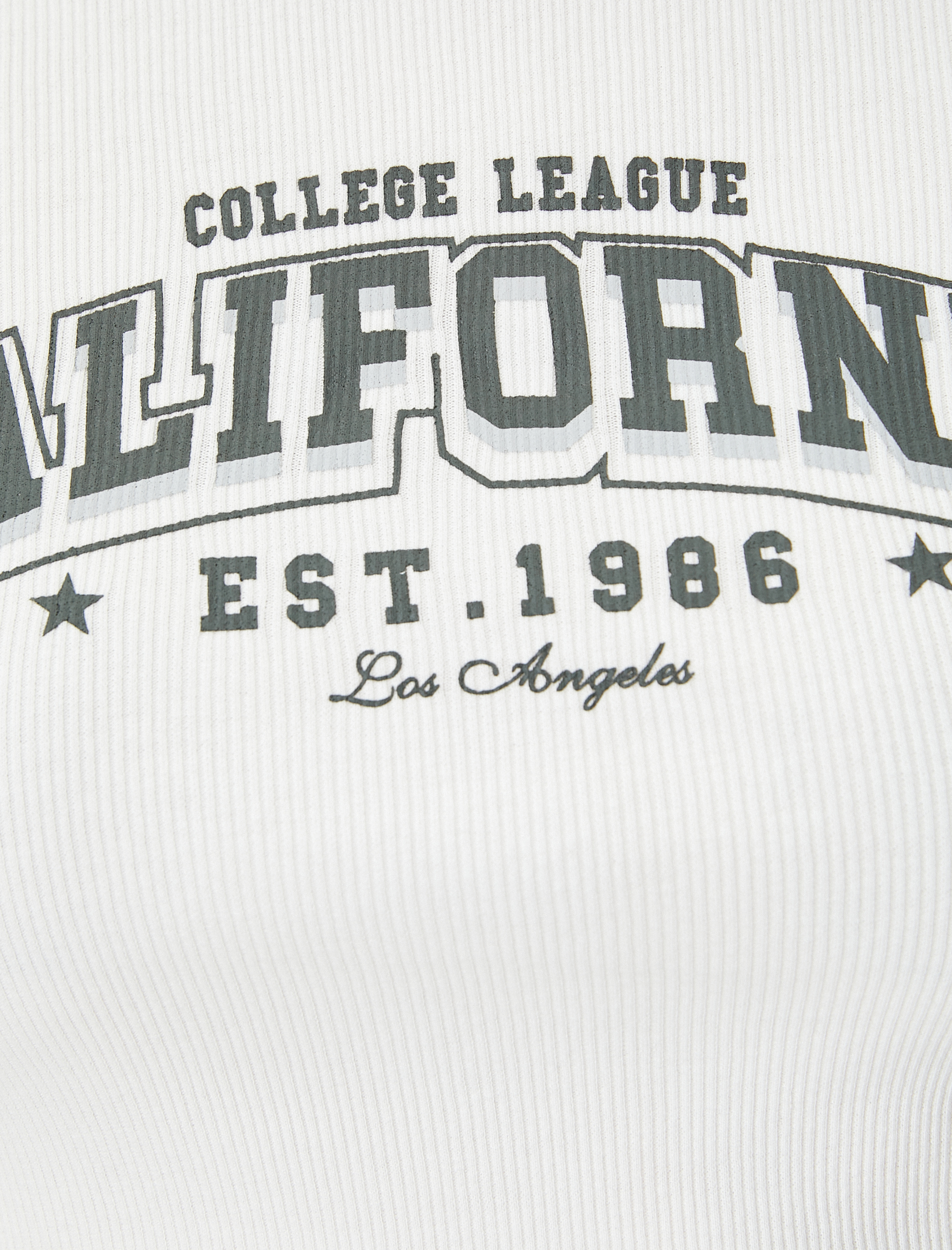   Kolej Kısa Tişört Kısa Kollu Bisiklet Yaka Ribanalı Pamuklu Slim Fit