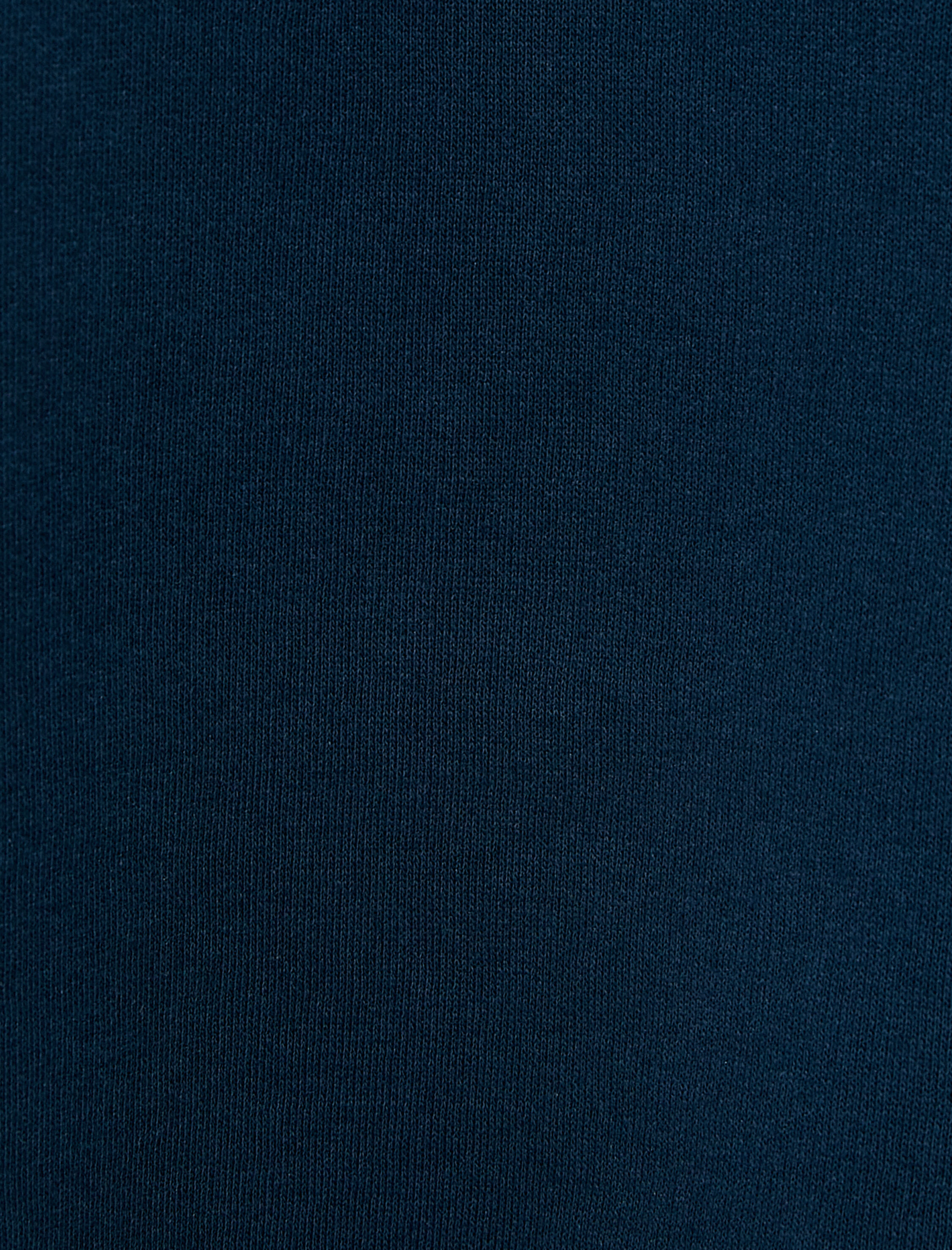   Şardonlu Yarım Fermuarlı Sweatshirt Rahat Kalıp Baskılı Dik Yaka