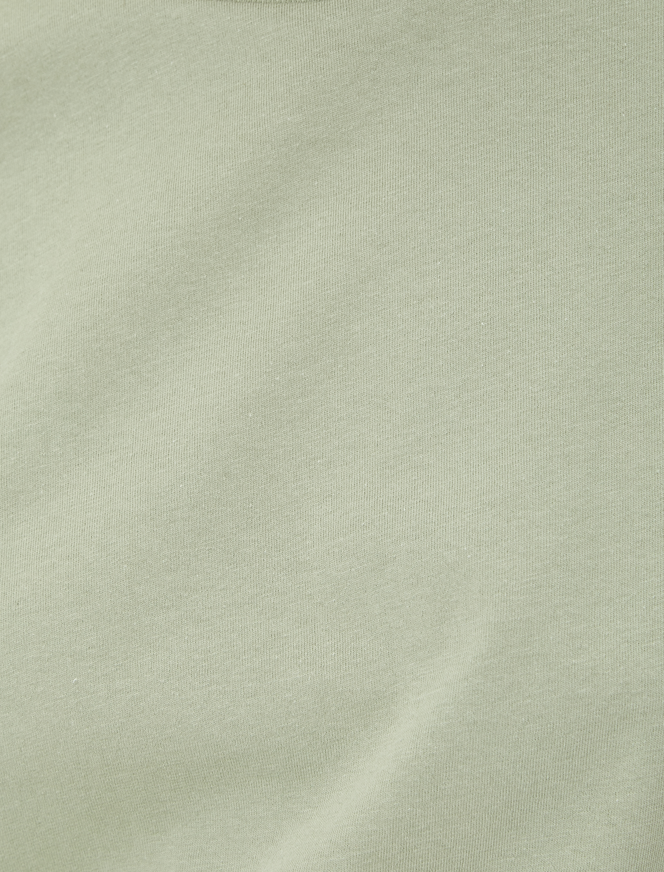   Basic Tişört Bisiklet Yaka Kısa Kollu Pamuklu