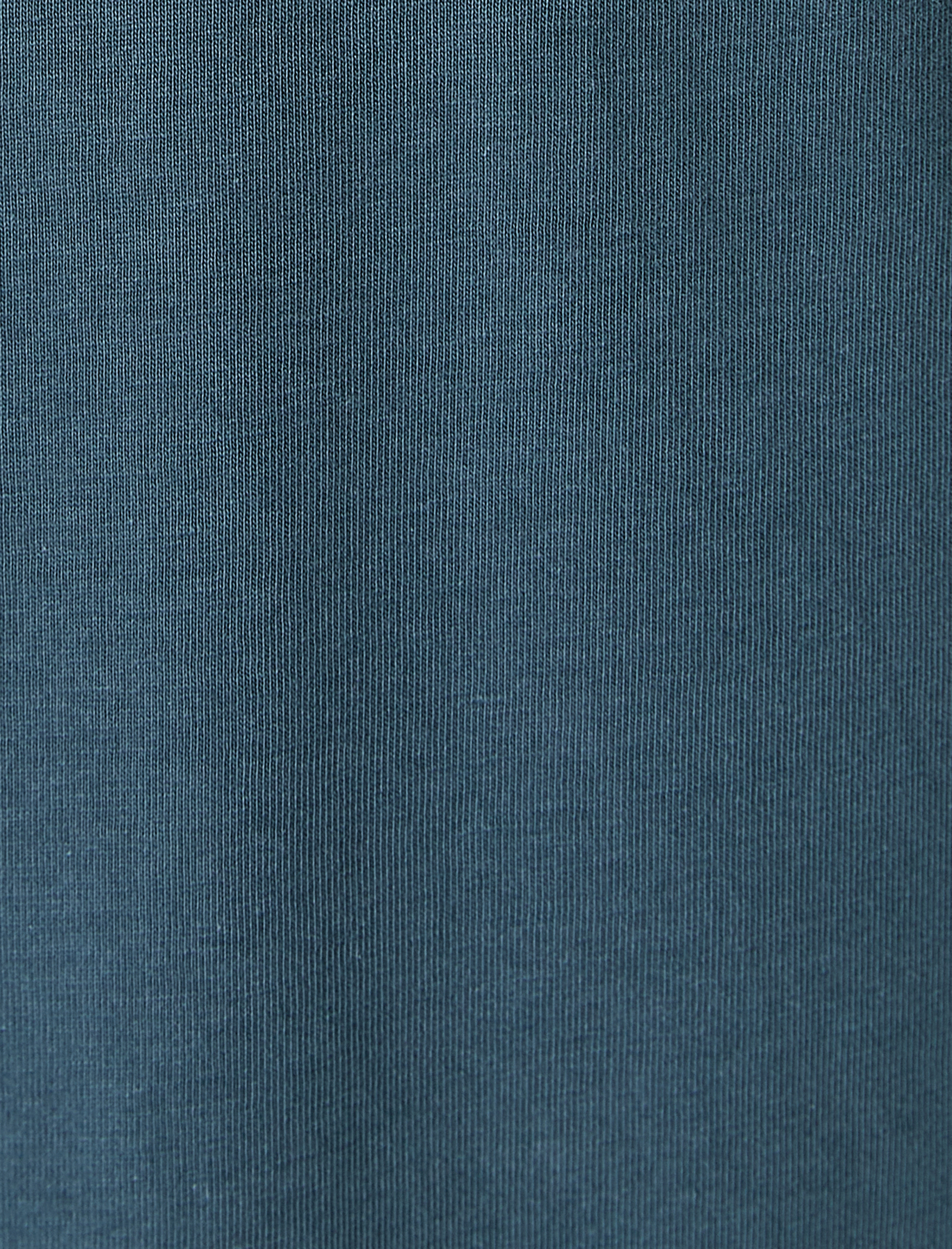 Slim Fit Tişört Slogan Baskılı Bisiklet Yaka Kısa Kollu