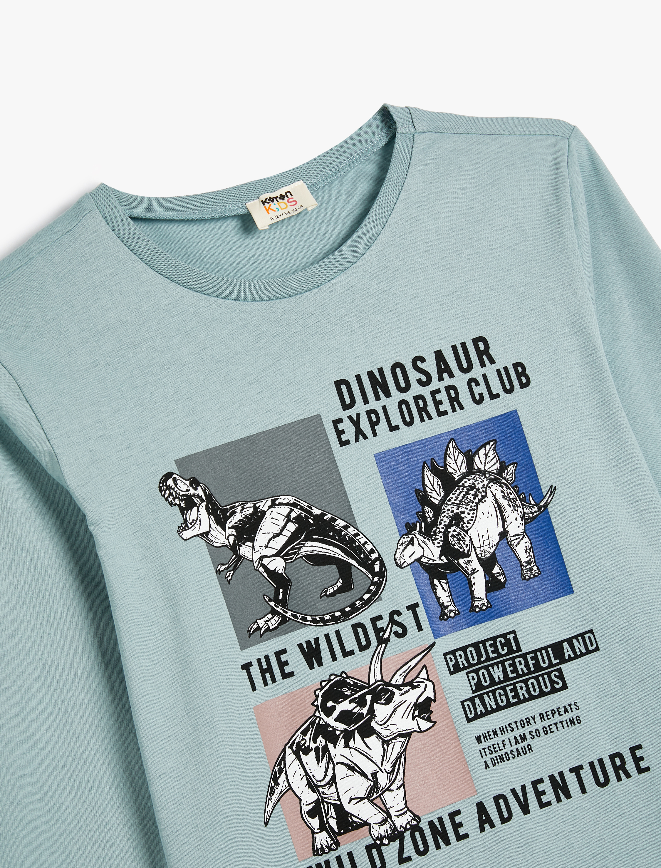 Erkek Çocuk Dinozor Baskılı Bisiklet Yaka Uzun Kollu Pamuklu Tişört