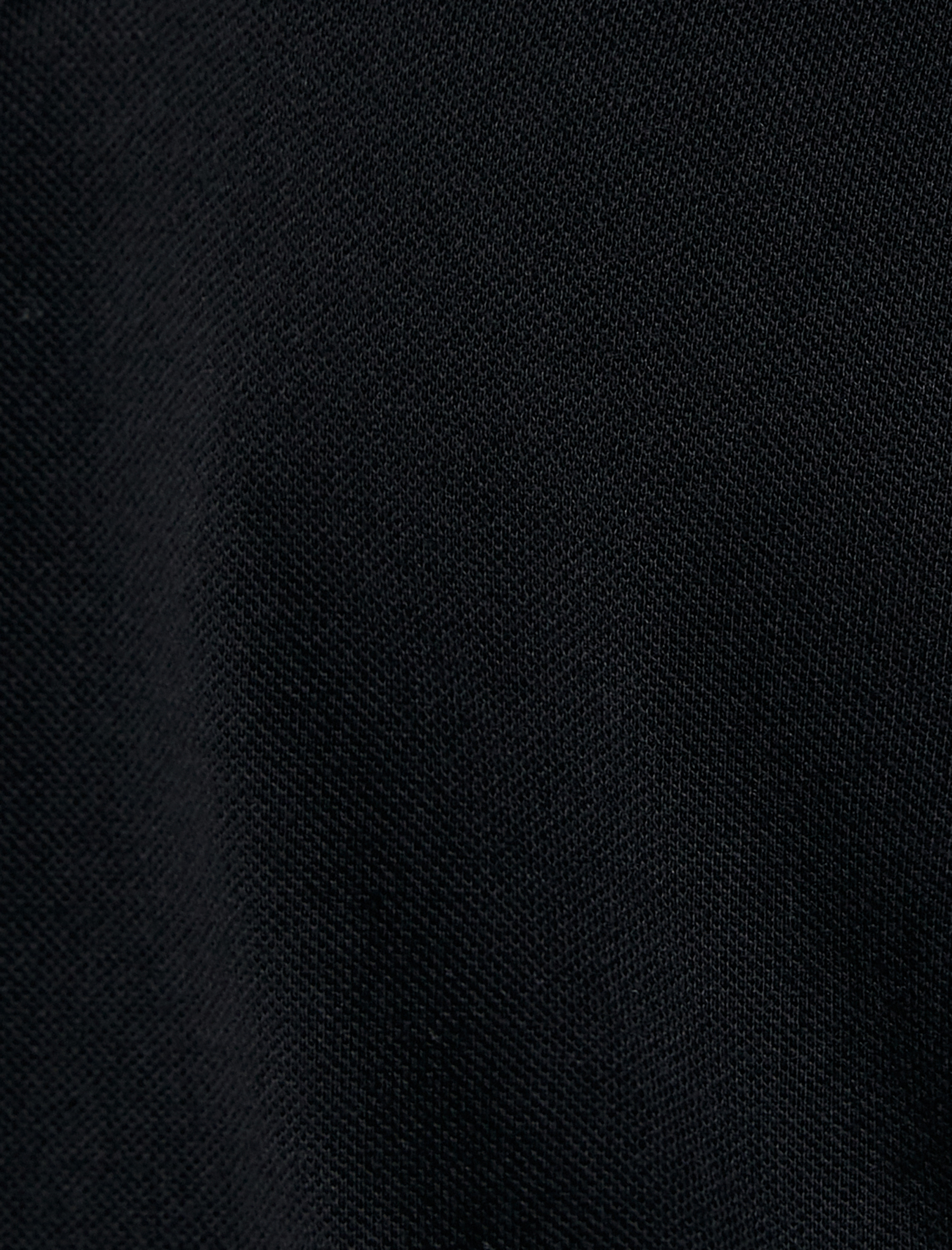   Polo Yaka Tişört Düğmeli Kısa Kollu Sloganlı Biyeli