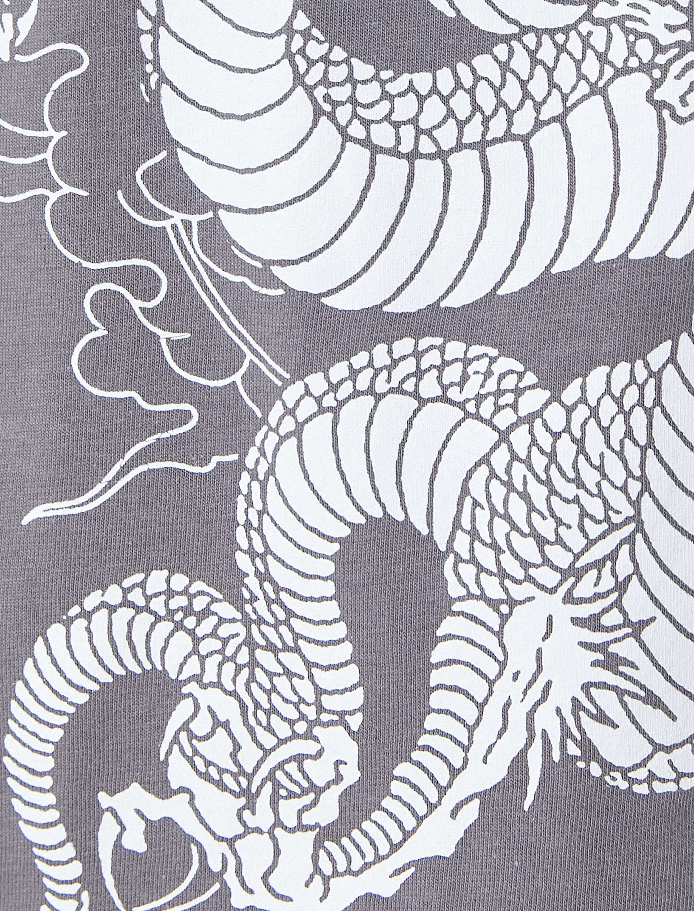   Ejderha Baskılı Tişört Rahat Kalıp Kısa Kollu Bisiklet Yaka