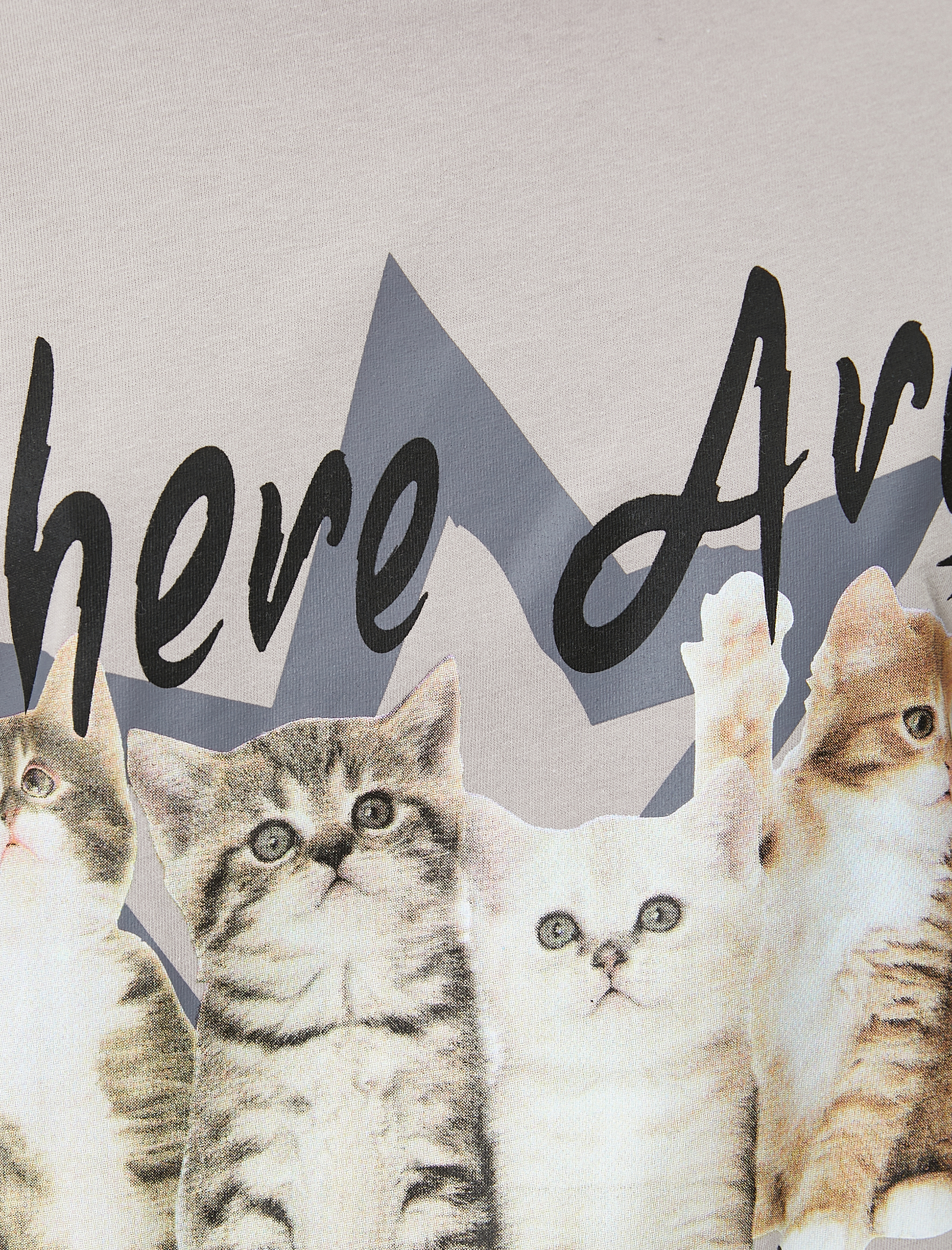   Kedi Baskılı Tişört Rahat Kalıp Pamuklu