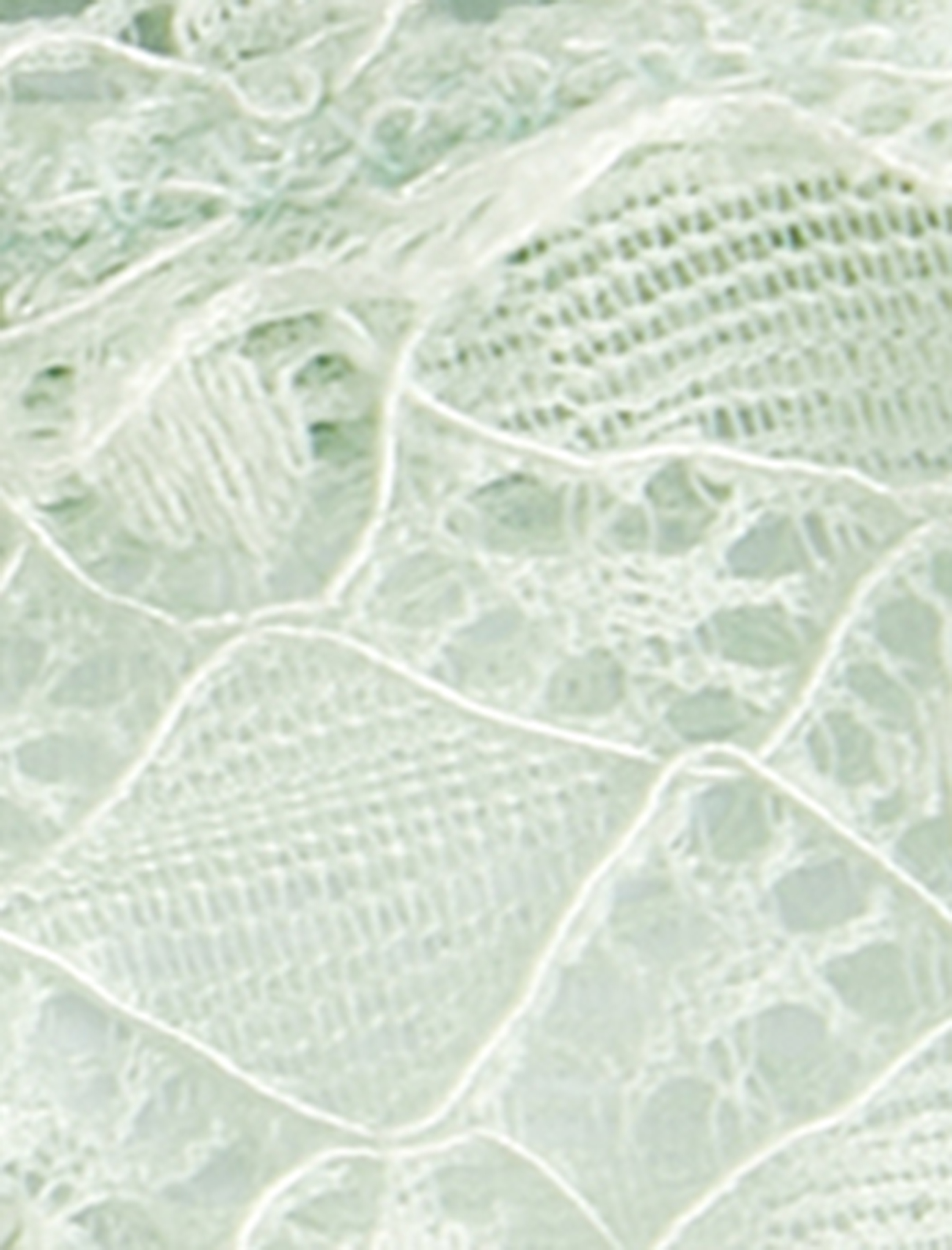   Dantelli String Külot