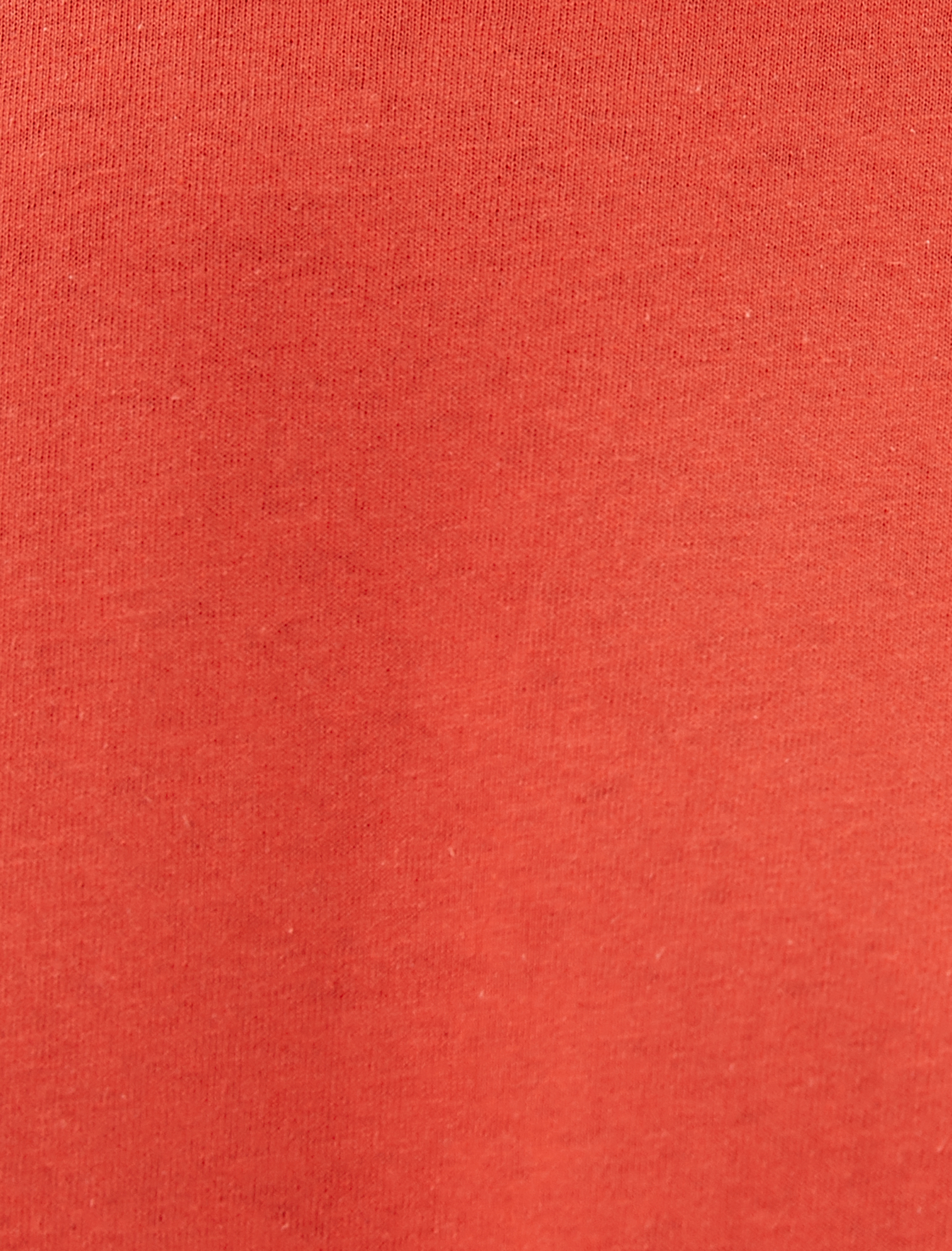   Slogan Baskılı Tişört Slim Fit Bisiklet Yaka Kısa Kollu Pamuklu