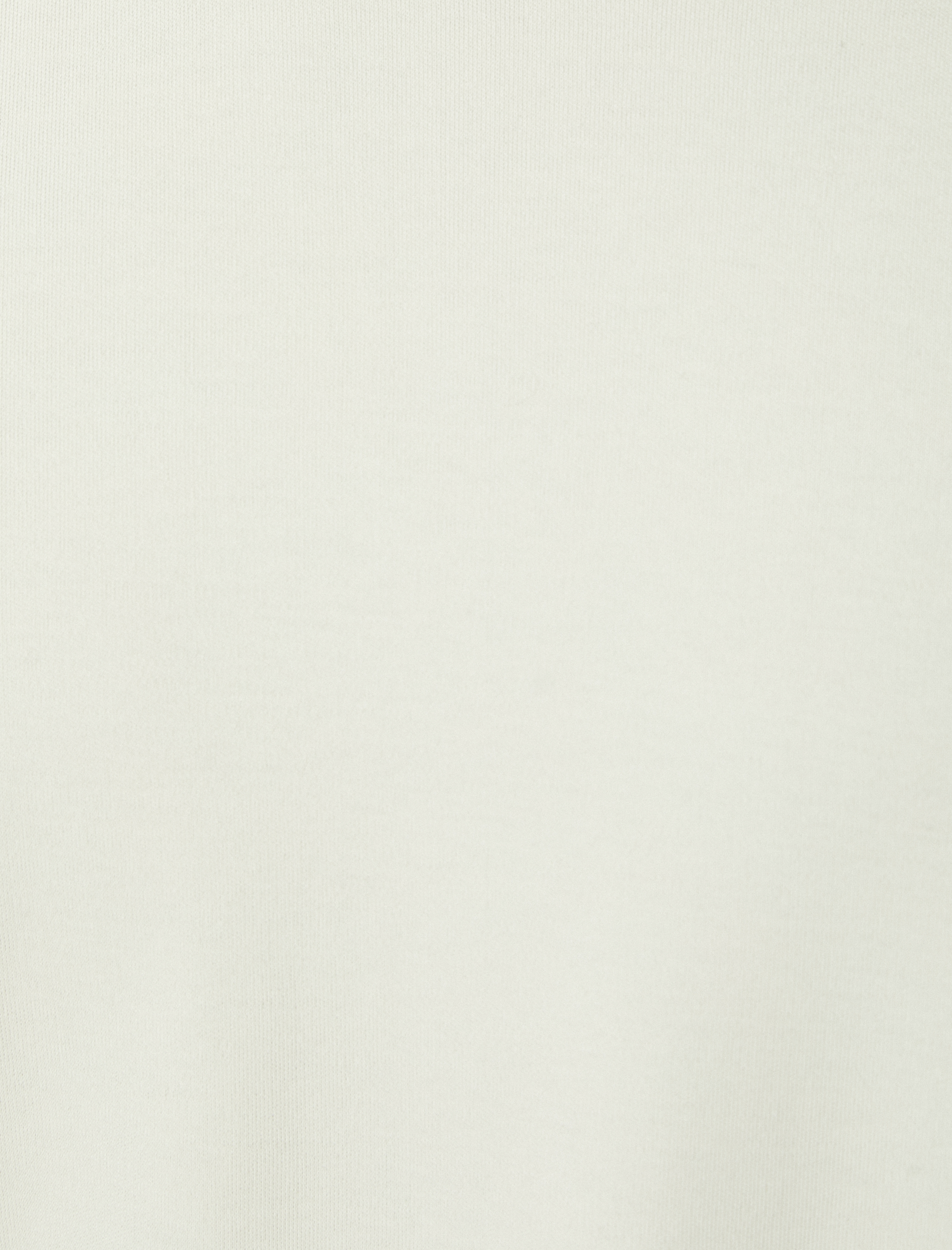 Basic Tişört Bisiklet Yaka Kısa Kollu Pamuklu