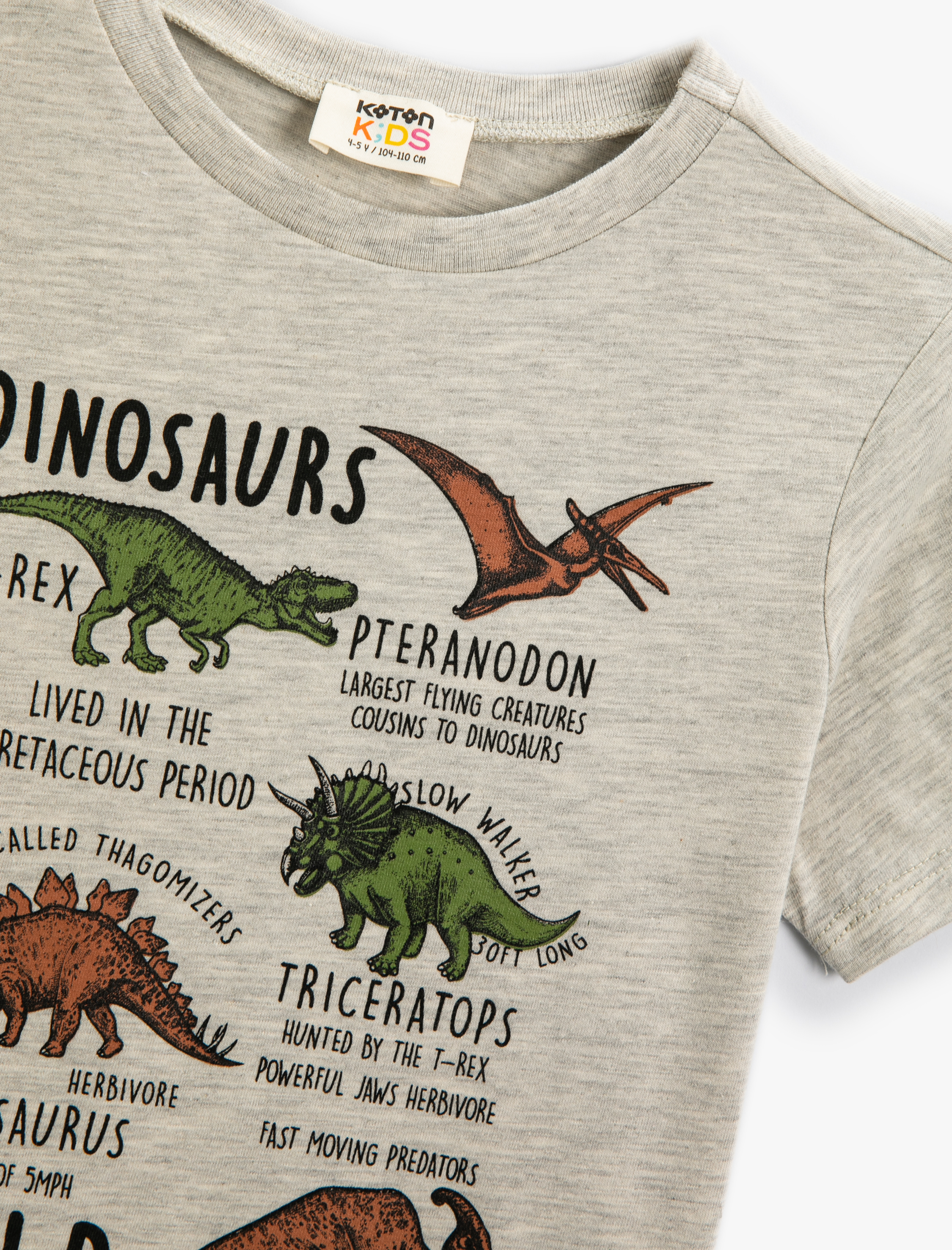 Erkek Çocuk Dinozorlu Tişört Kısa Kollu Bisiklet Yaka