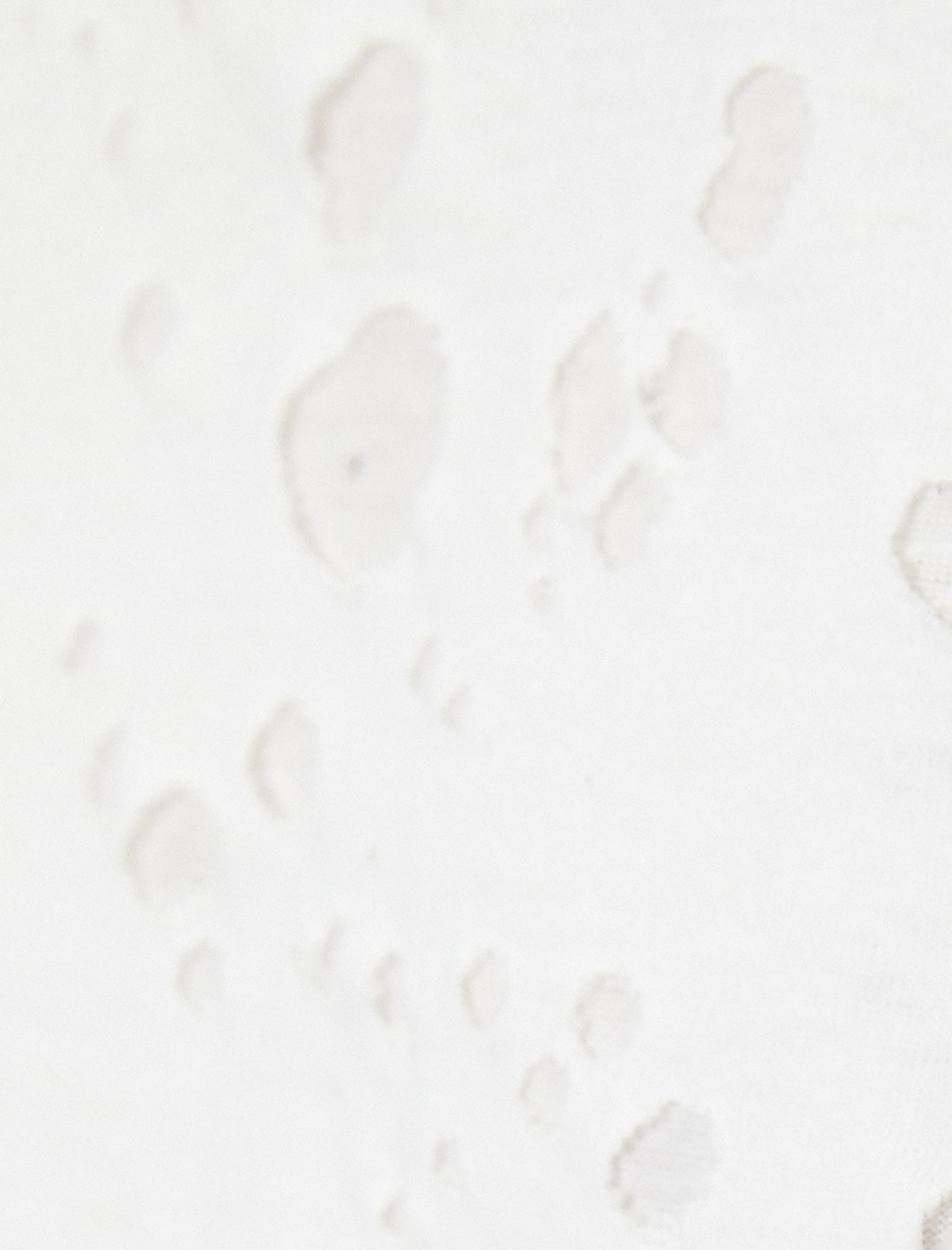   Yıpratılmış Crop Tişört Kısa Kollu Bisiklet Yaka