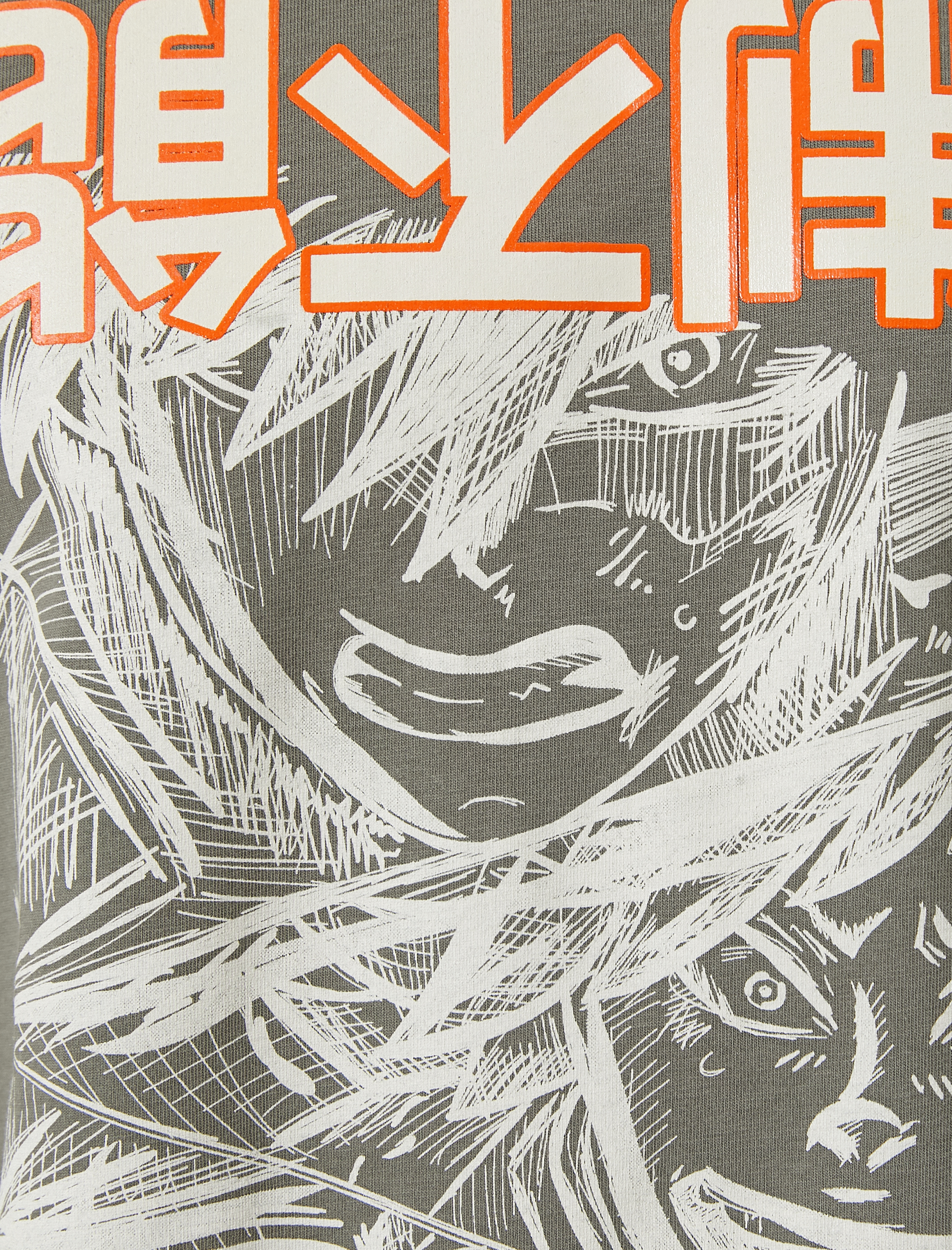   Kısa Kollu Pamuklu Bisiklet Yaka Regular Fit Uzakdoğu Baskılı Tişört