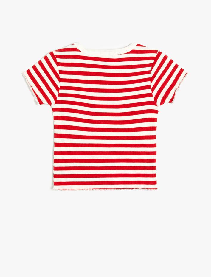 Kız Çocuk Tişört Kısa Kollu Yuvarlak Yaka Ribanalı Pamuklu