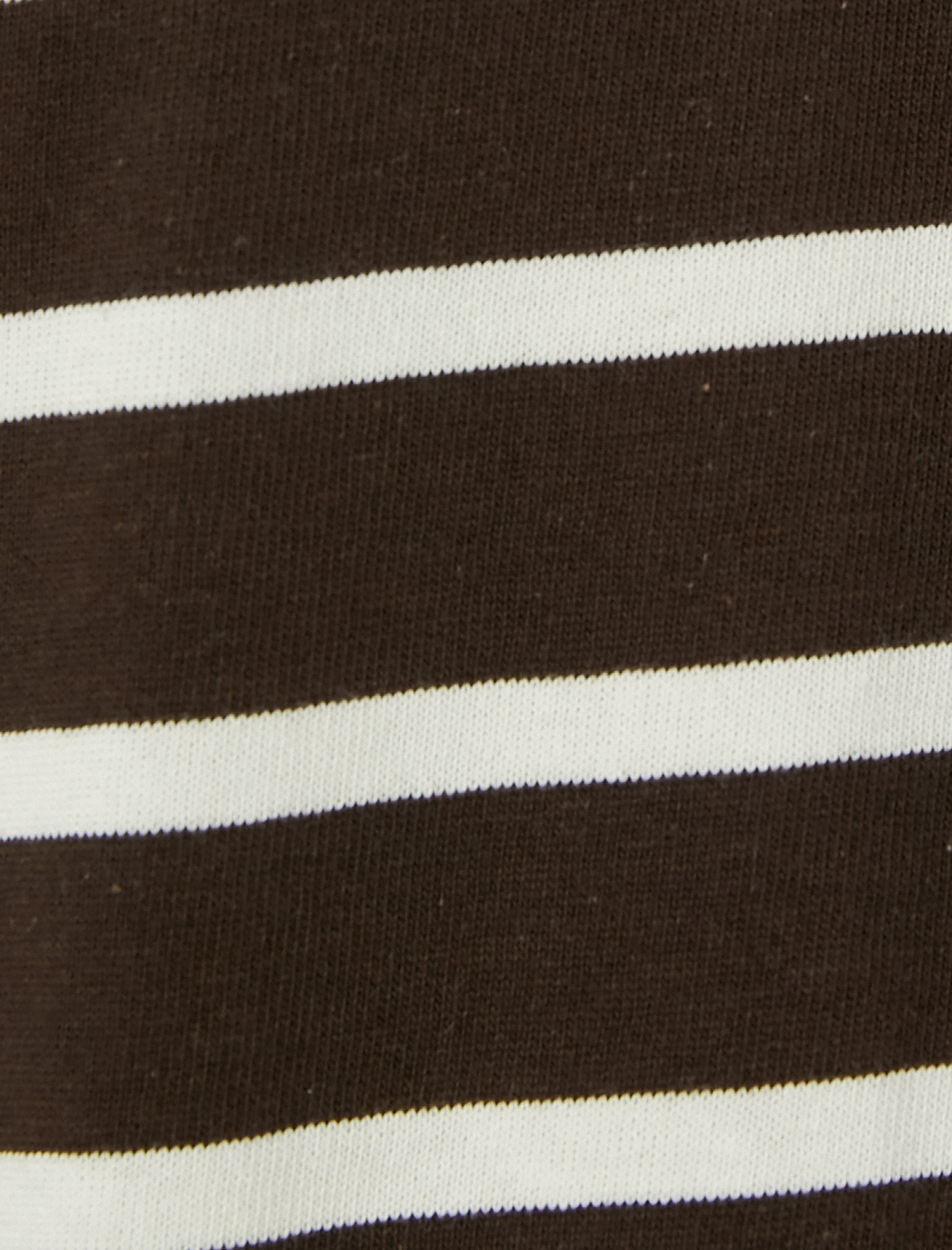 Basic Tişört Bisiklet Yaka Kısa Kollu Pamuklu