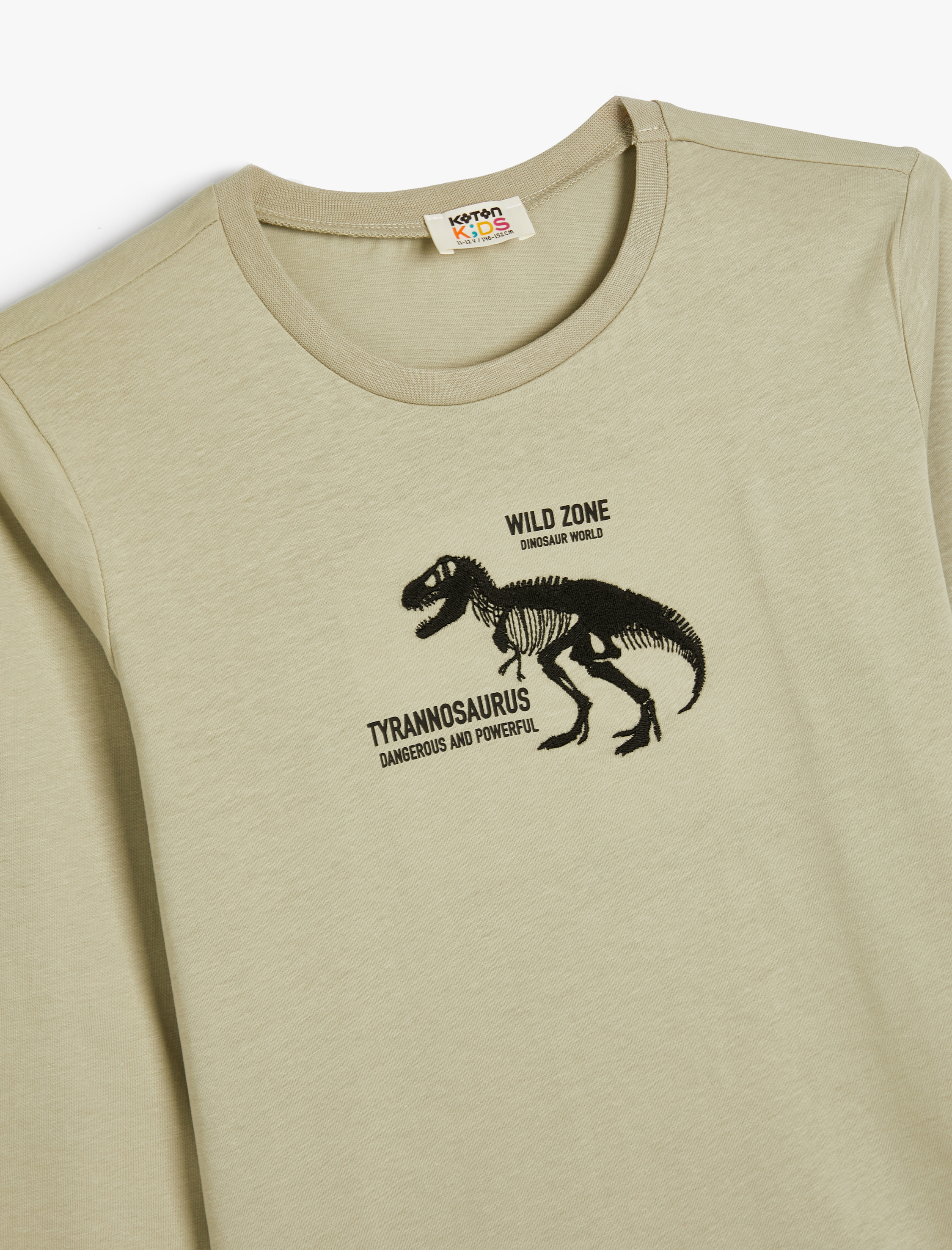  Erkek Çocuk Dinozorlu Tişört Uzun Kollu Bisiklet Yaka Pamuklu