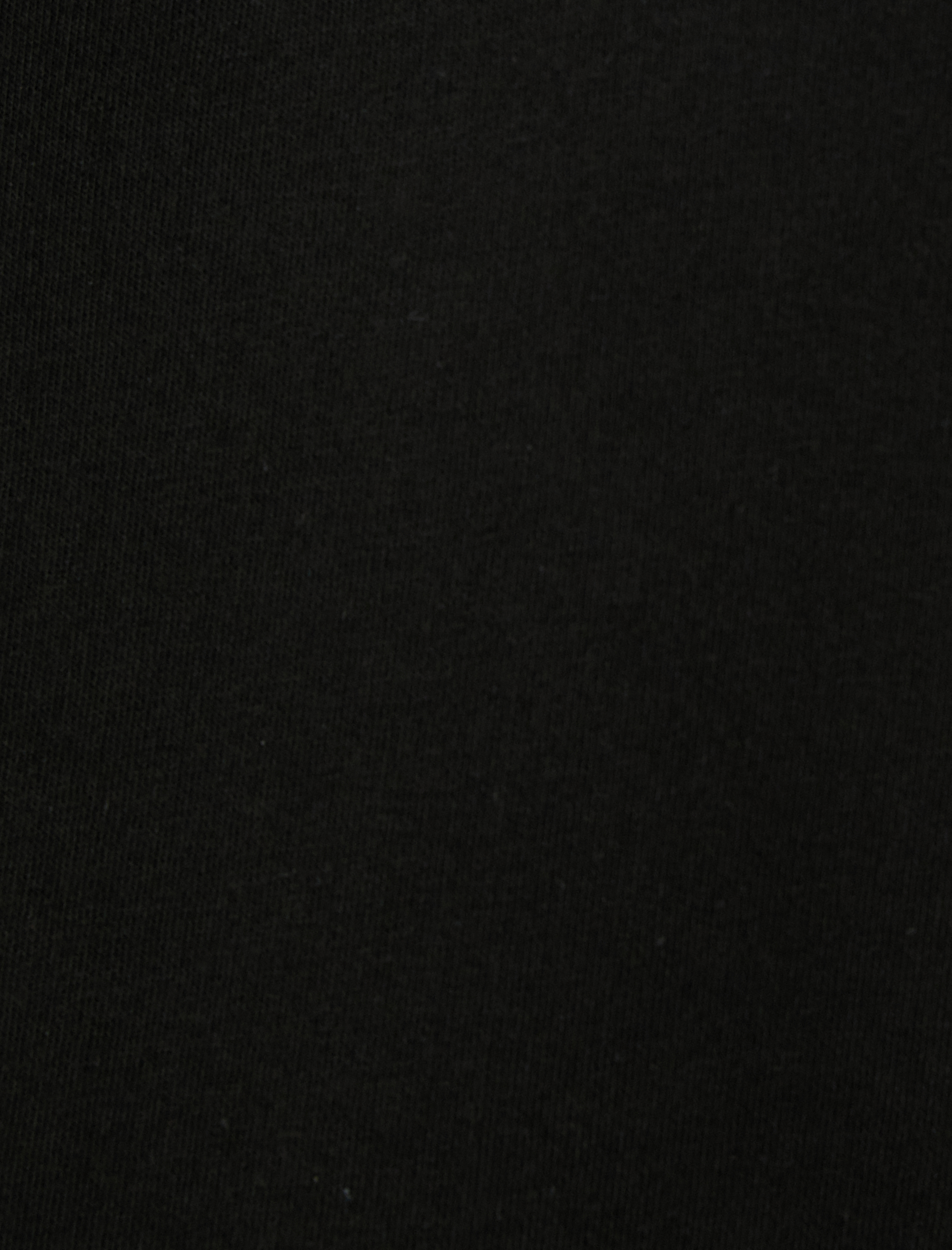   Yarım Fermuarlı Sweatshirt Slogan Baskılı Dik Yaka Uzun Kollu Şardonlu