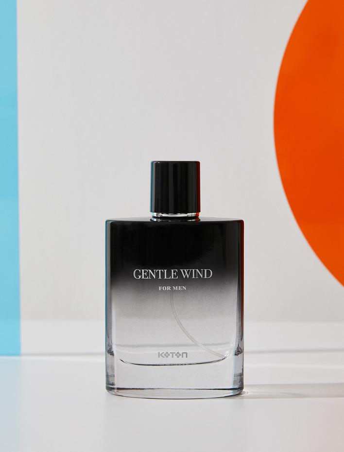 Erkek Parfüm Gentle Wind 100 ML