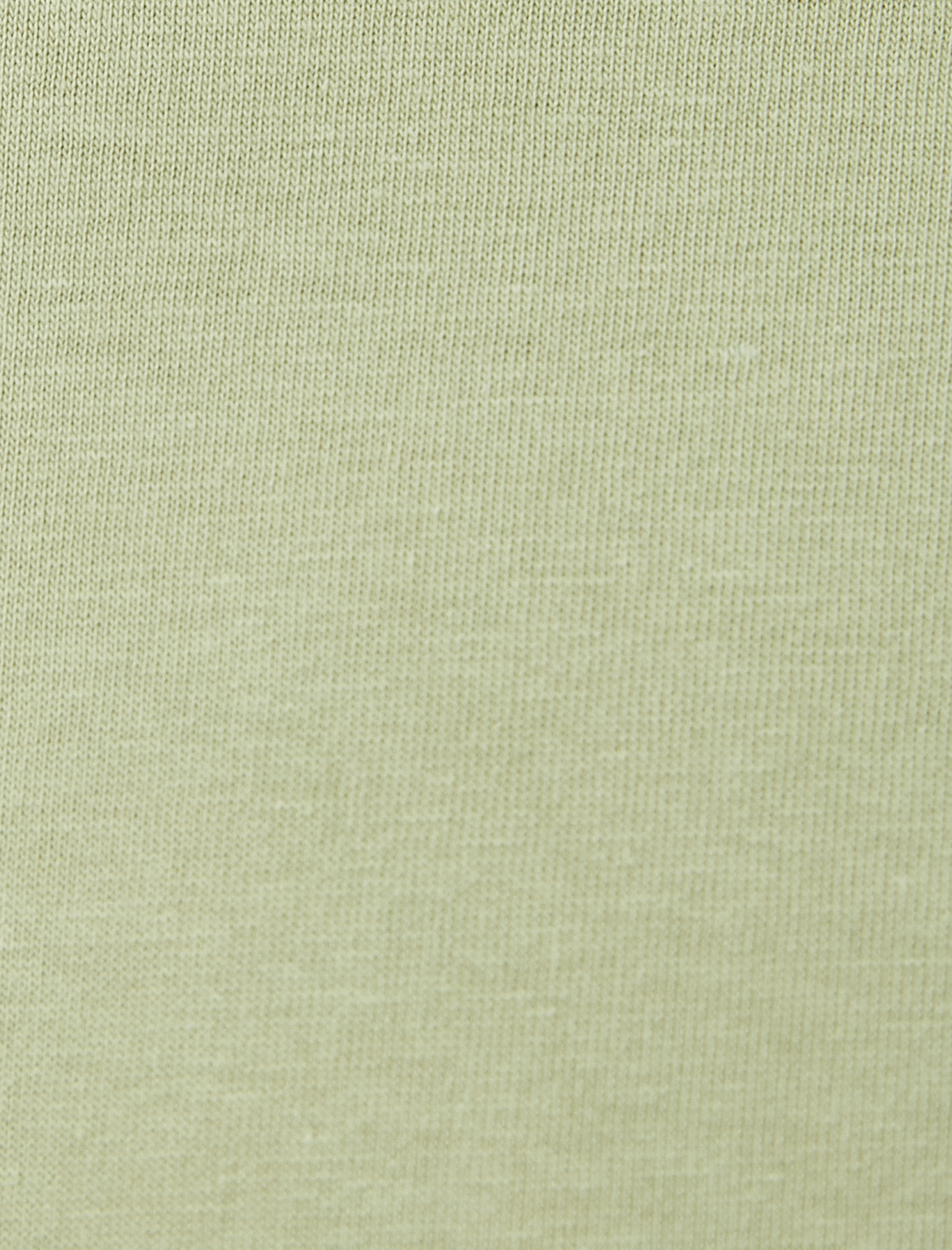   Basic Tişört Slim Fit Bisiklet Yaka Kısa Kollu Pamuklu