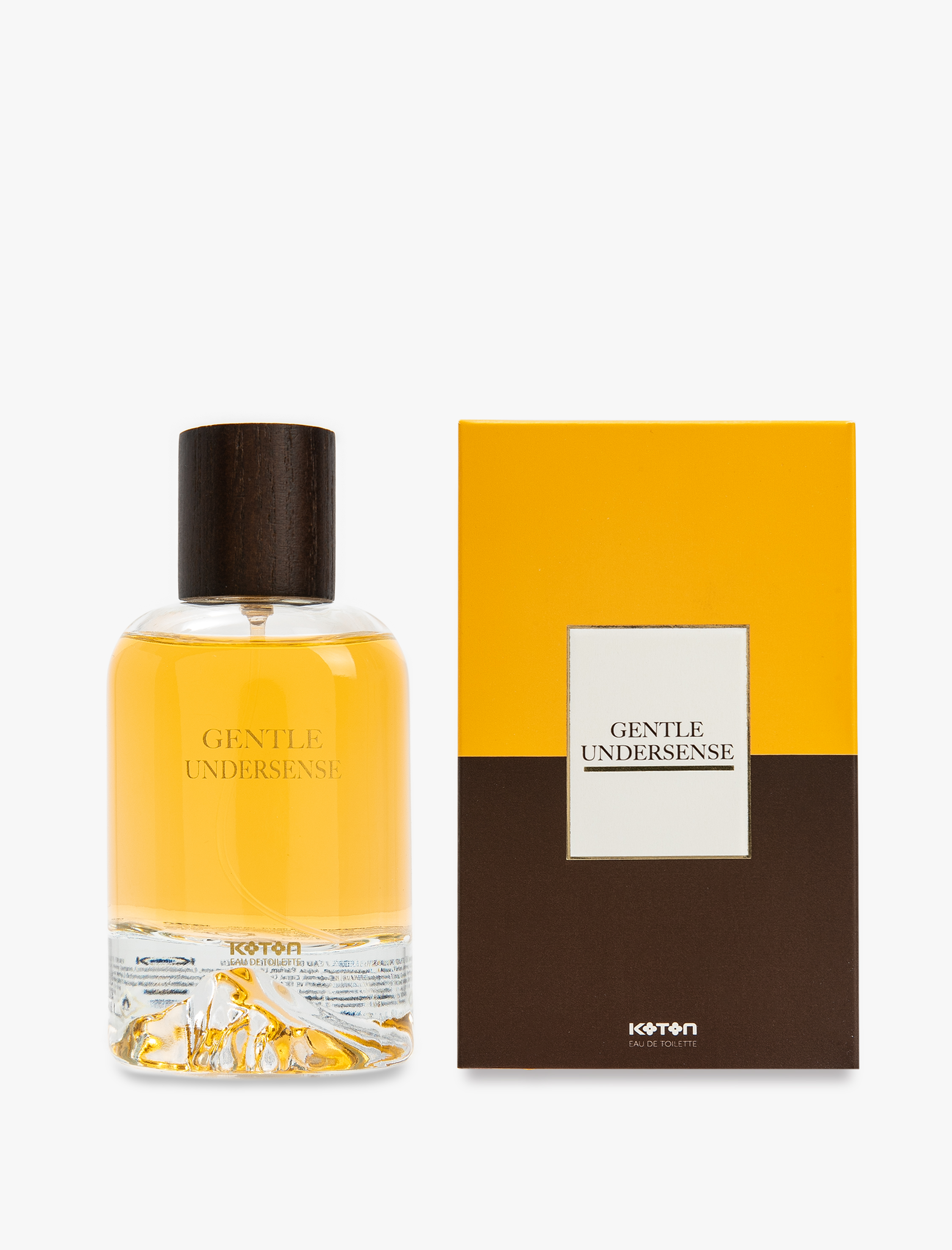  Erkek Parfüm Gentle Undersense 100 ML