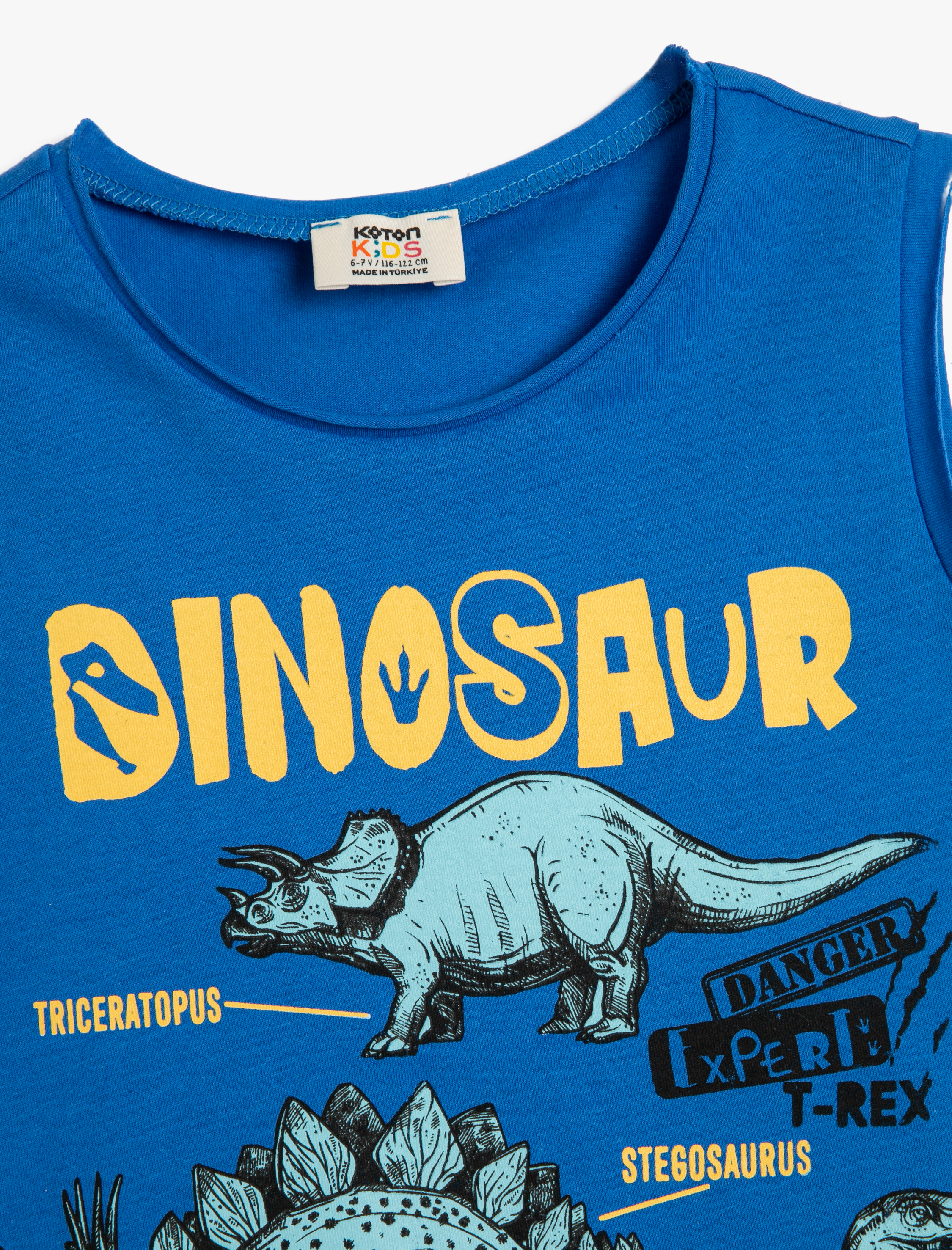 Erkek Çocuk Atlet Dinozor Baskılı Kolsuz Bisiklet Yaka Pamuklu