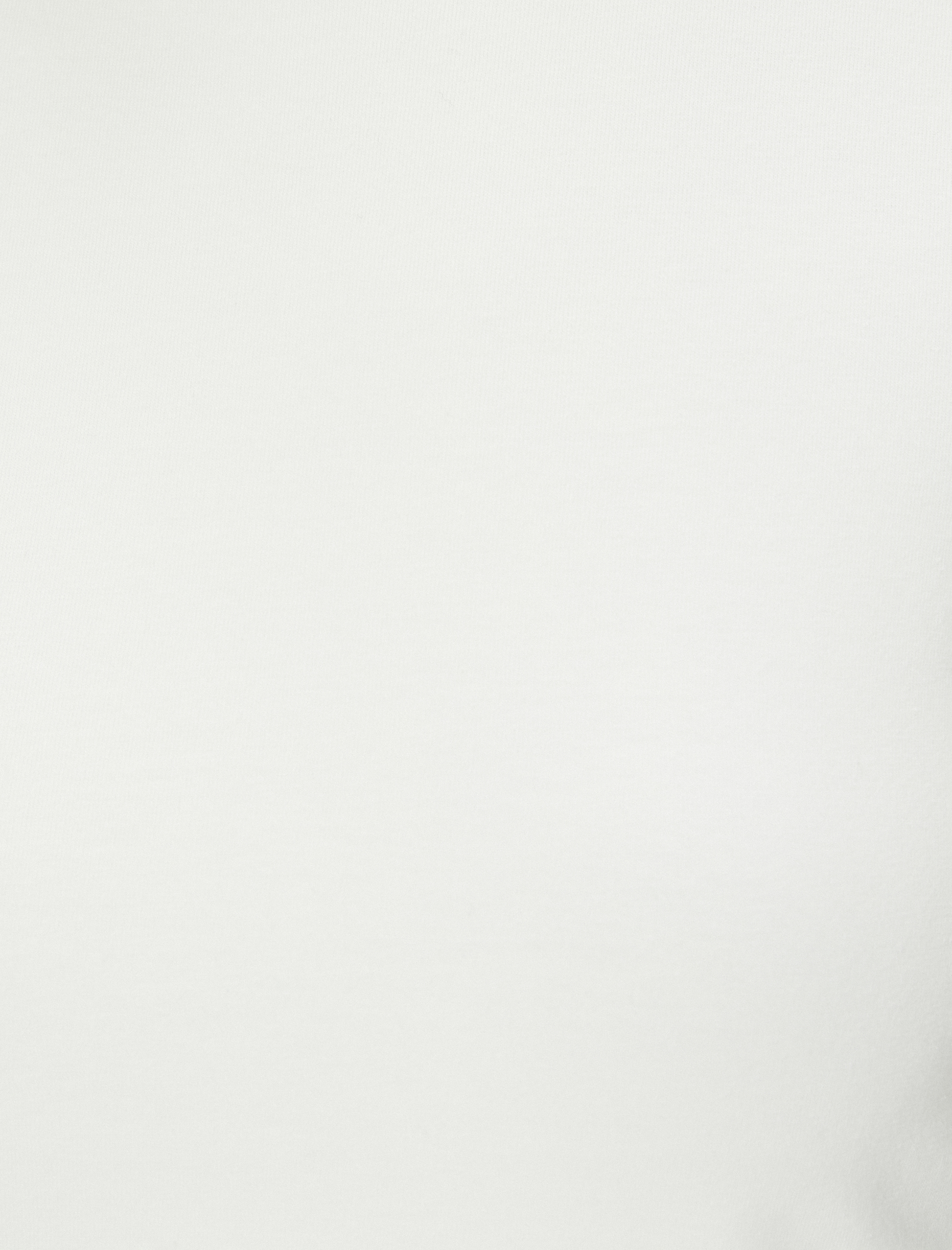   Crop Atlet Basic Bisiklet Yaka Pamuklu Standart Kesim