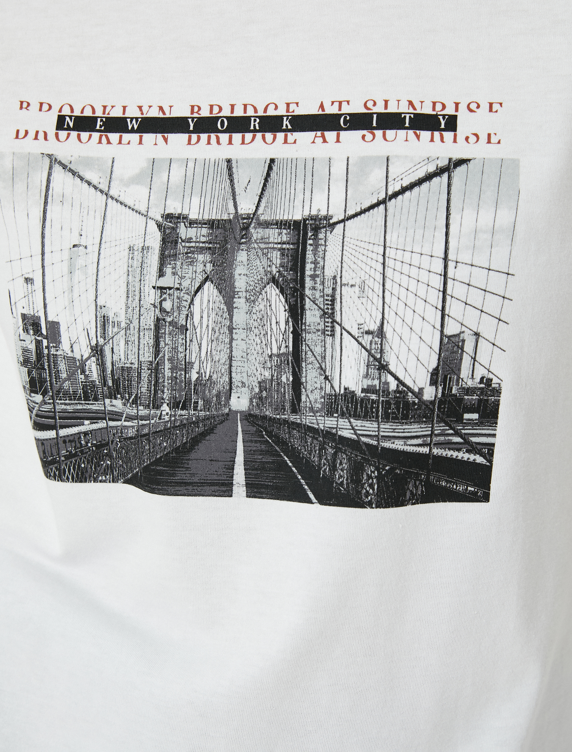   Baskılı Tişört Kısa Kollu Bisiklet Yaka Pamuklu Standart Kesim