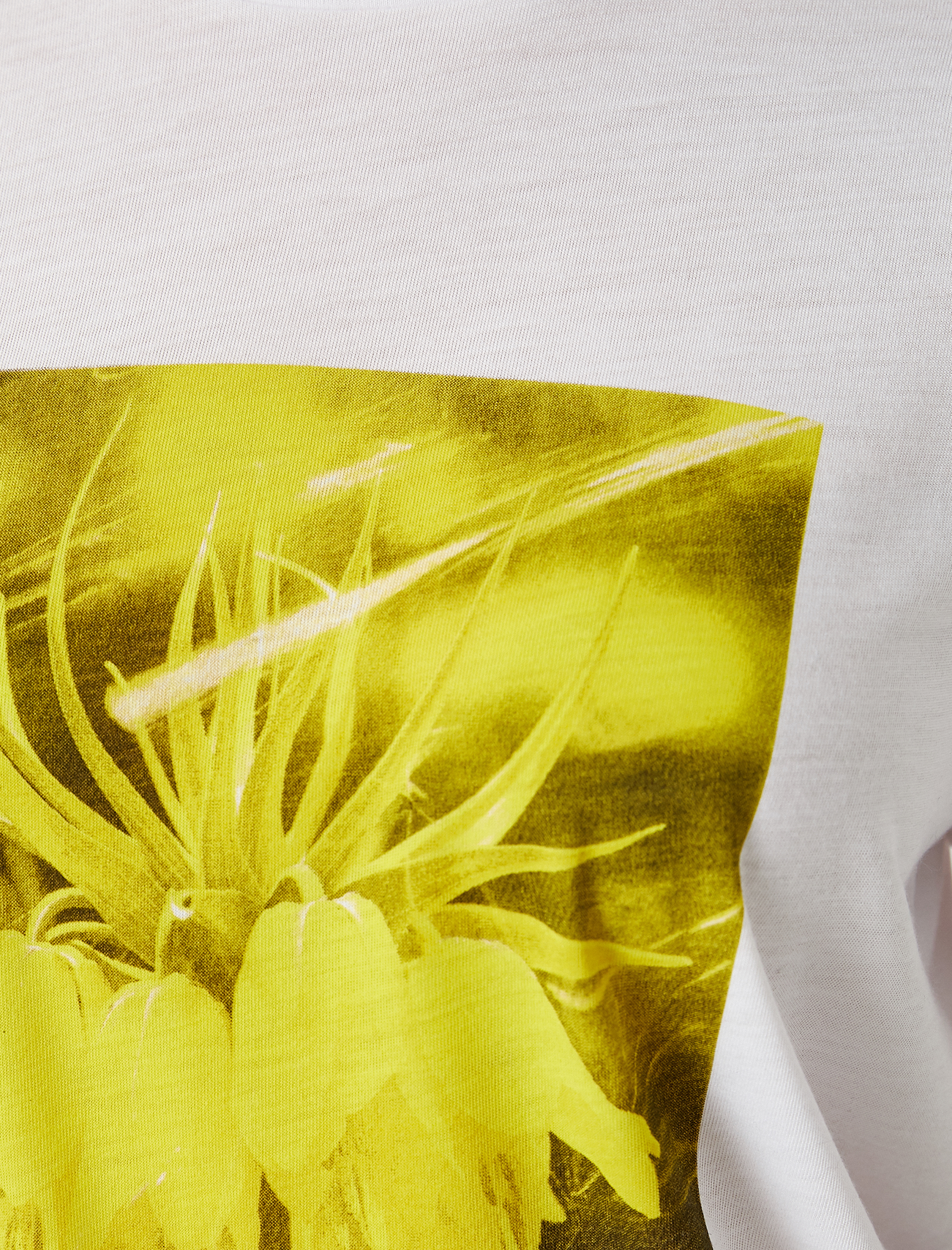   Bisiklet Yaka Kısa Kollu Baskılı Tişört