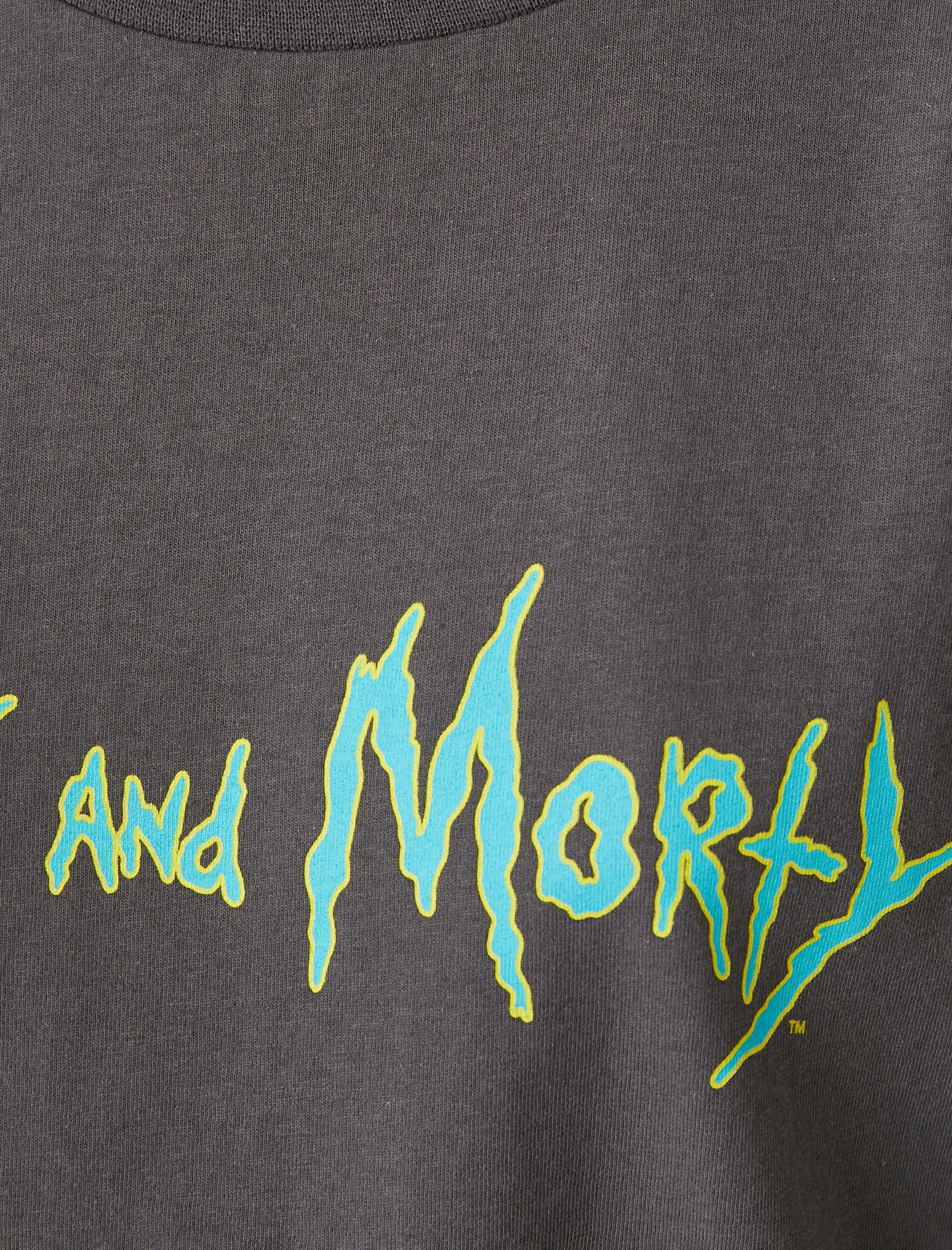   Rick and Morty Tişört Oversize Bisiklet Yaka Kısa Kollu Pamuklu Lisanslı