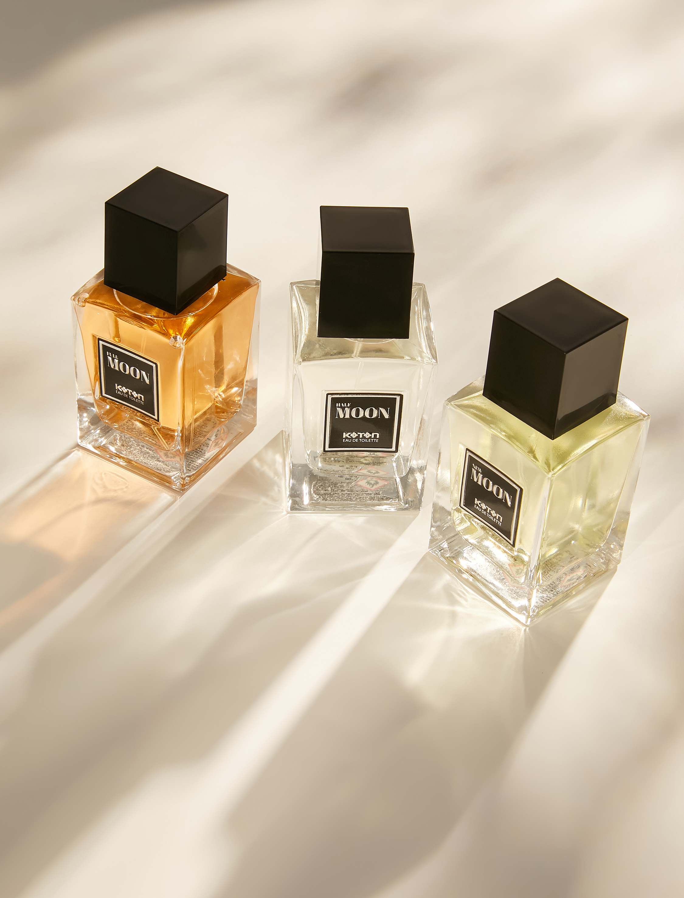 Erkek Parfüm New Moon 100 ML