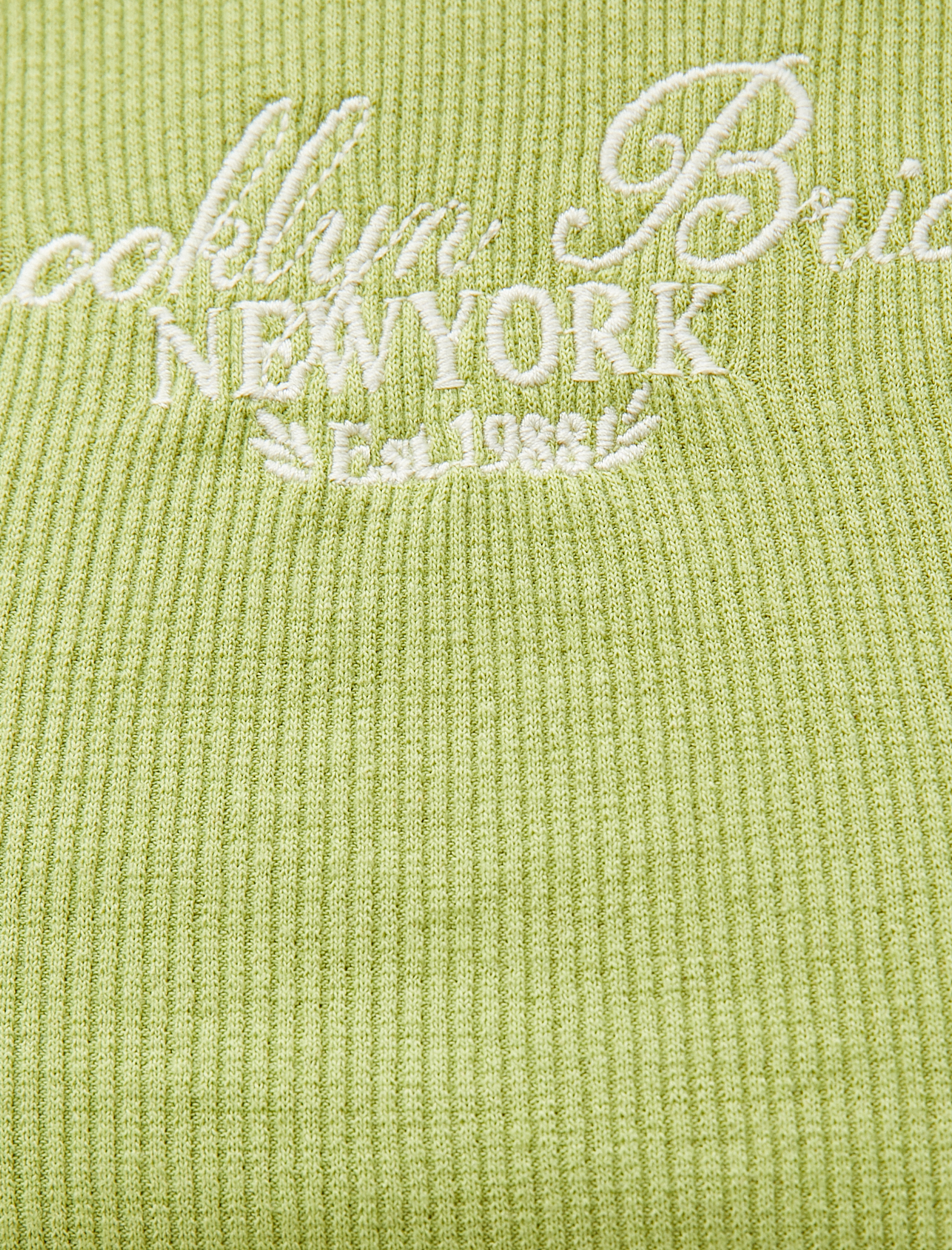   Crop Tişört Nakışlı Bisiklet Yaka Kısa Kollu Fitilli