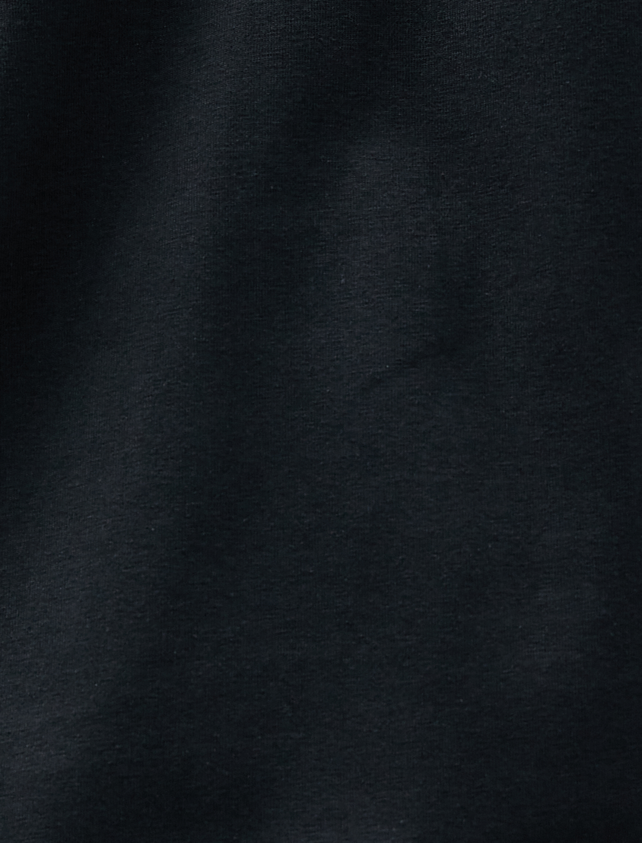   Hakim Yaka Tişört Düğmeli Köpek İşlemeli Dar Kesim Pamuklu